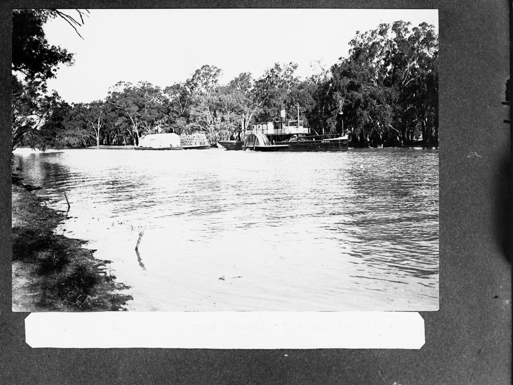 Paddlesteamer "Decoy" and wool barges - leaving Darling River