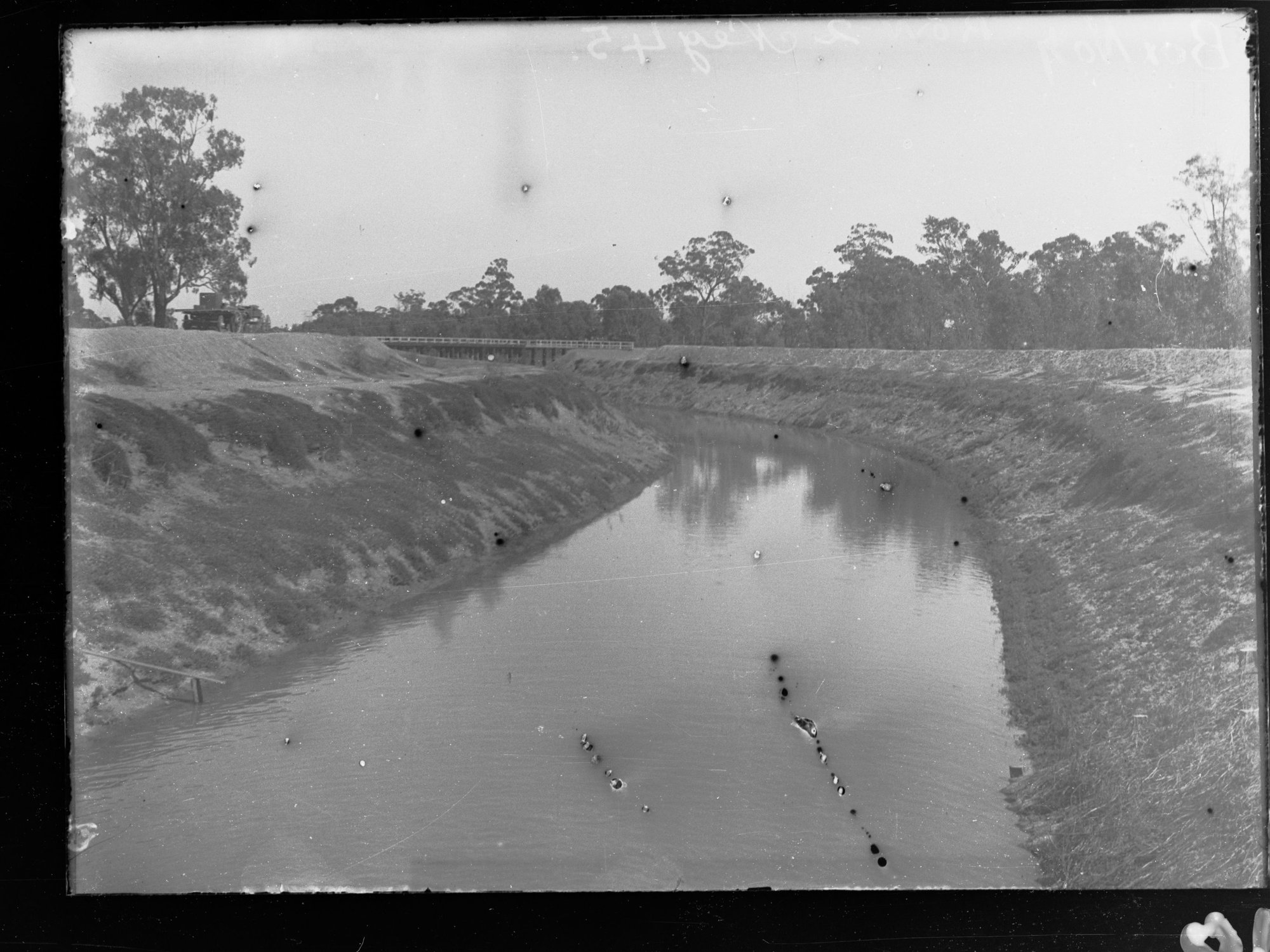 Irrigation works on the River Murray