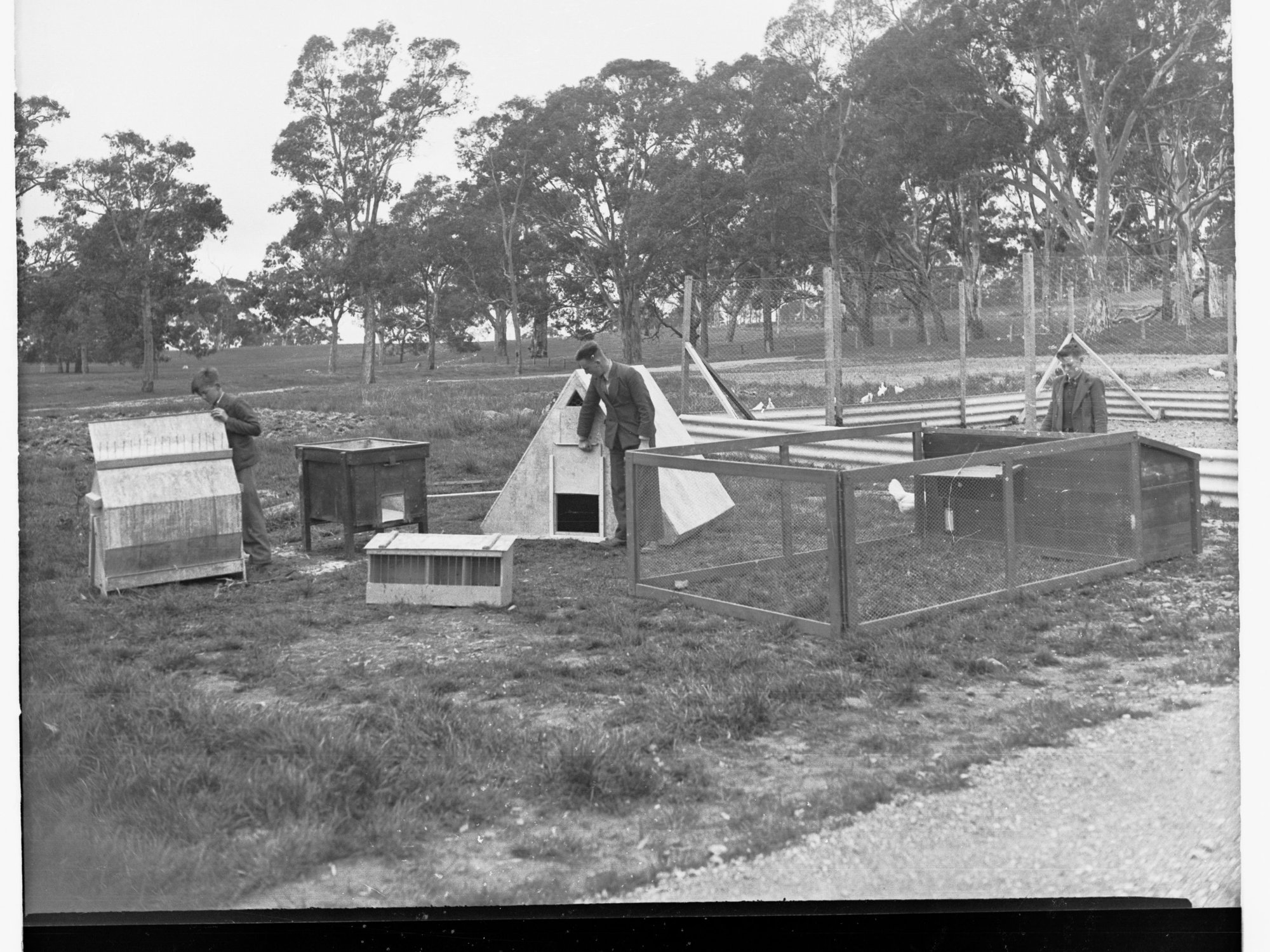 Oakbank Area School Examining Chook Pens