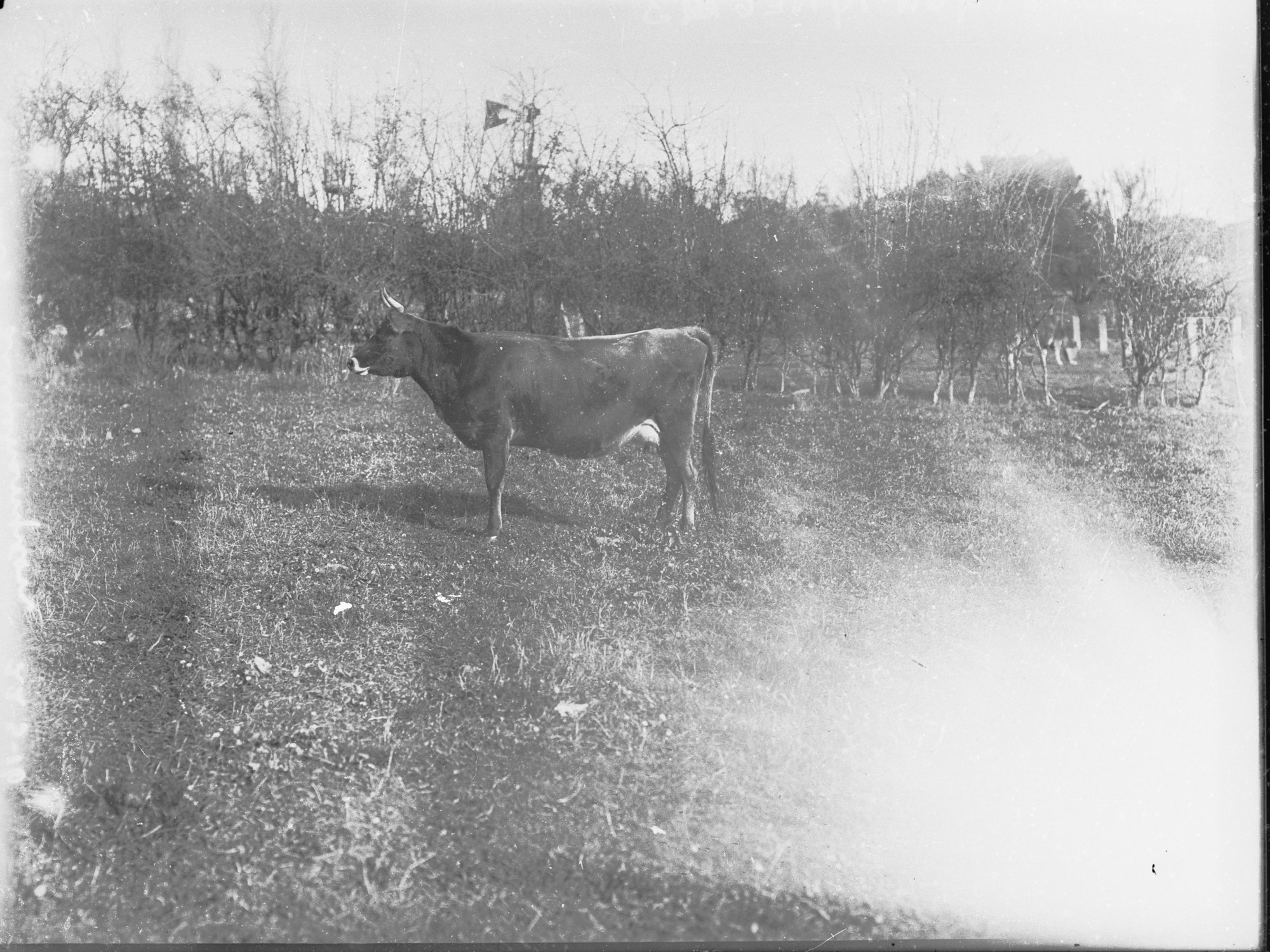 Mr Cowan's property at Littlehampton 