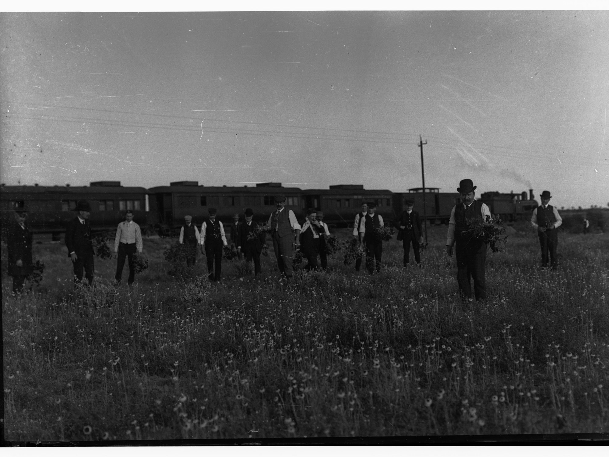 Parliamentary Visit - picking wildflowers (Narrow Gauge Rail Line - Possibly the Ghan)