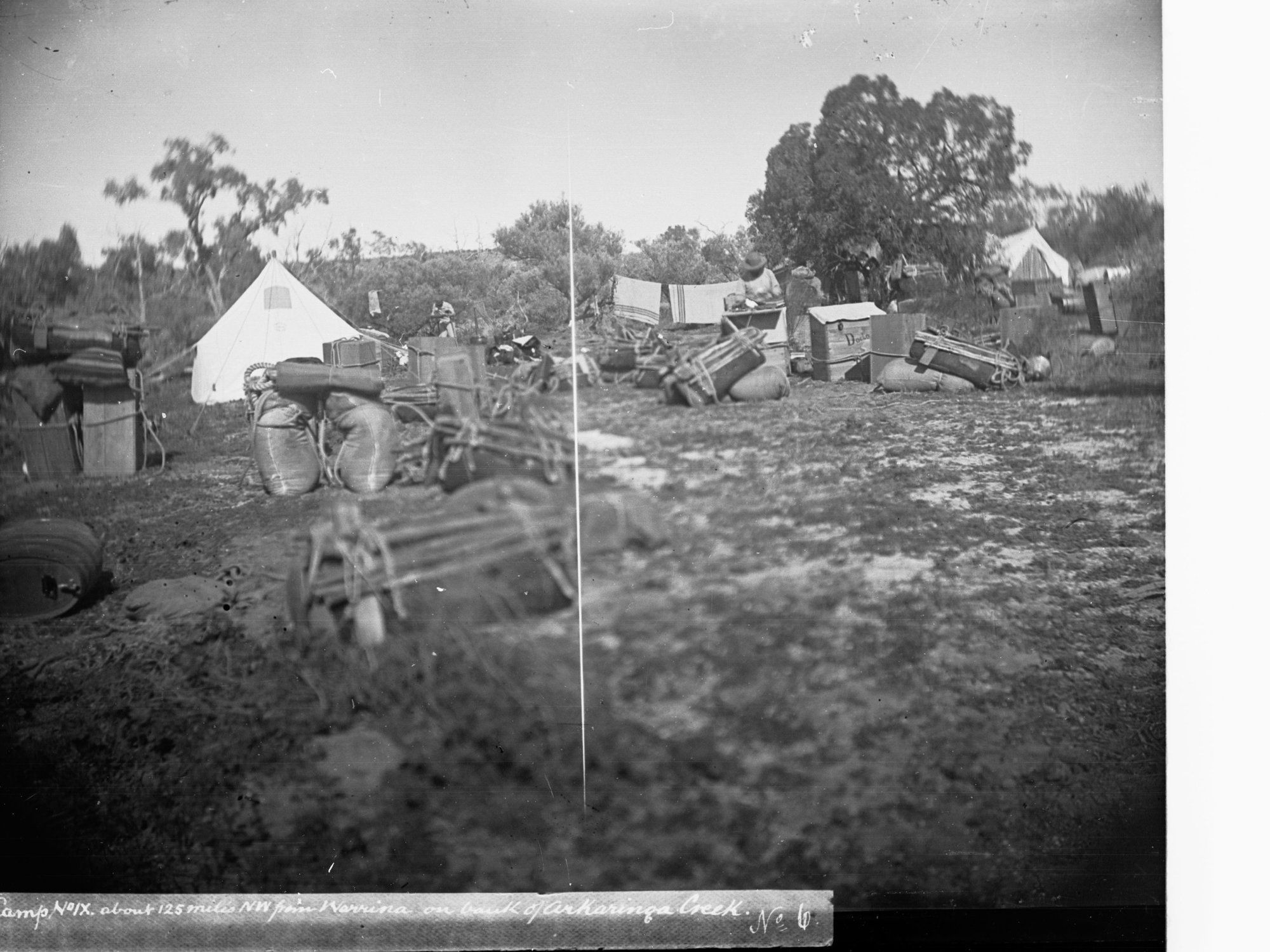 Camp No. IX About 25 Miles North West From Warrina on bank of Arckaringa Creek Elder Scientific Expedition