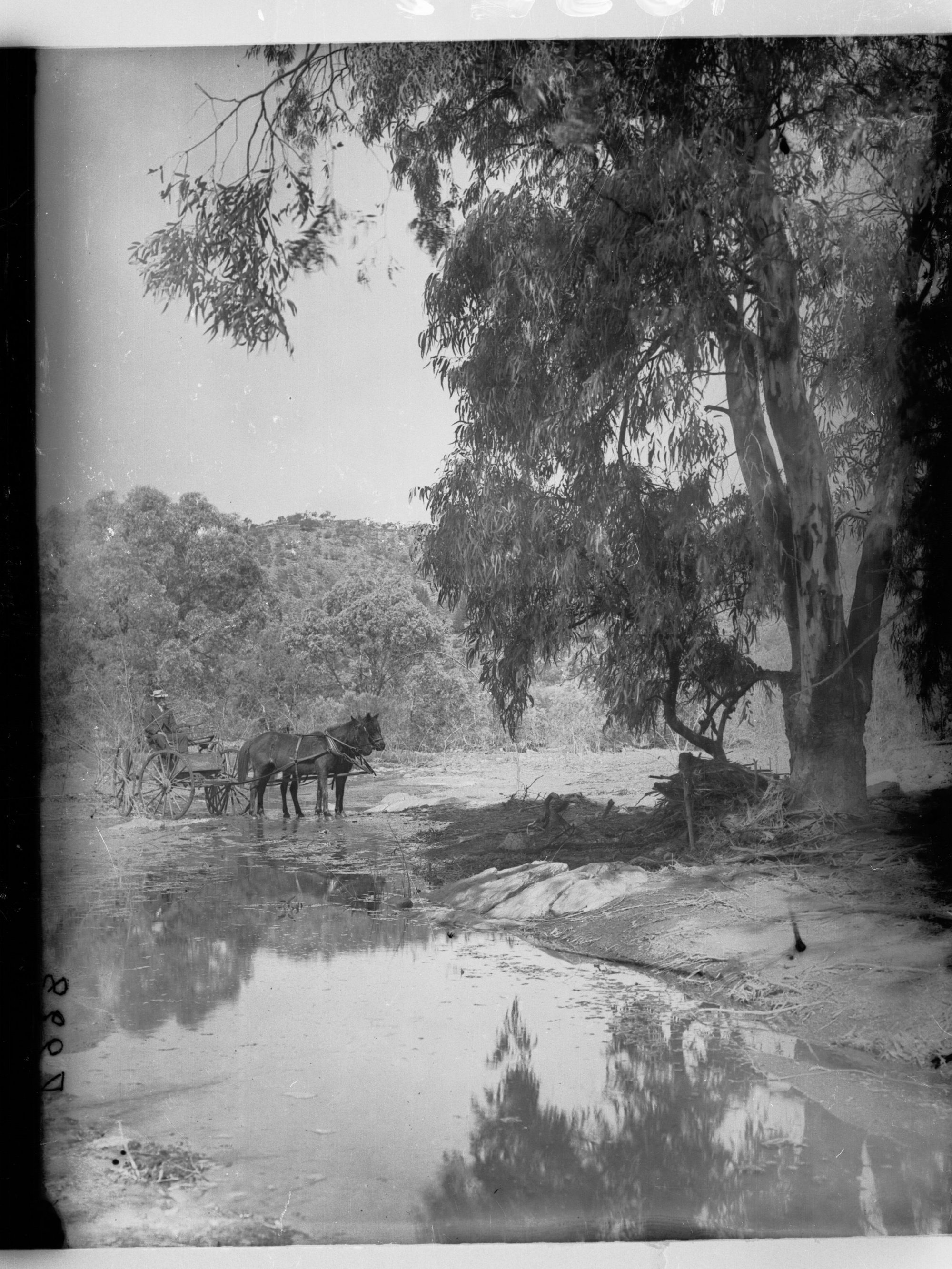 Horse and carriage Erengunda creek, Flinders Ranges