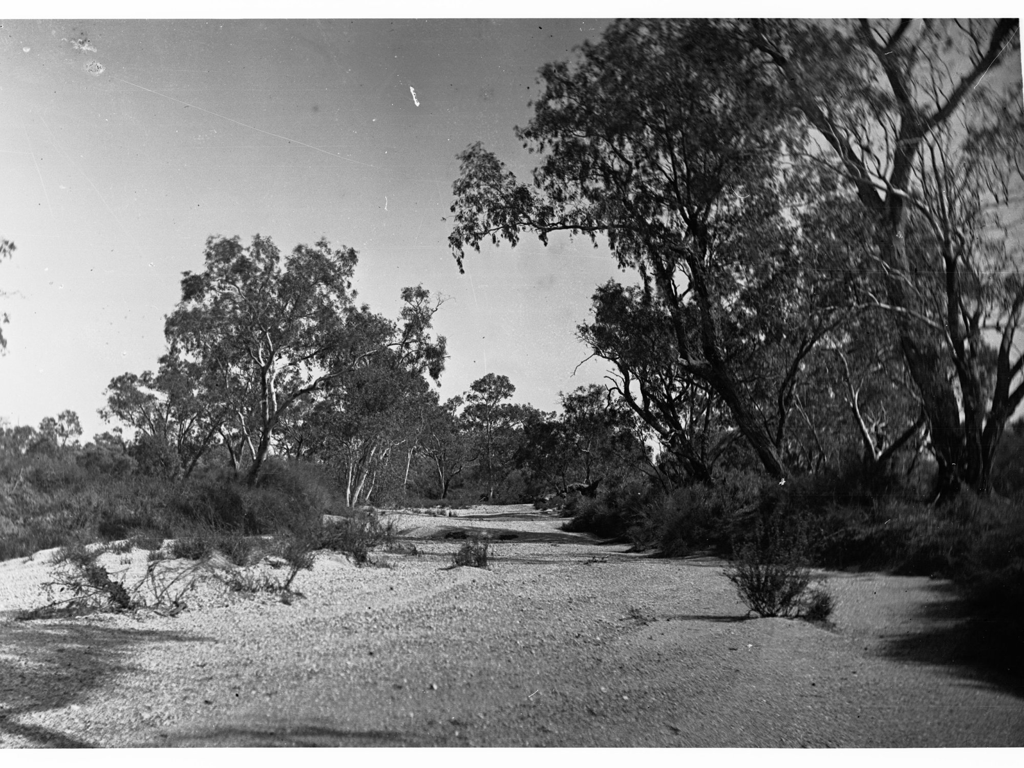 Arckaringa Creek Looking West Elder Expedition