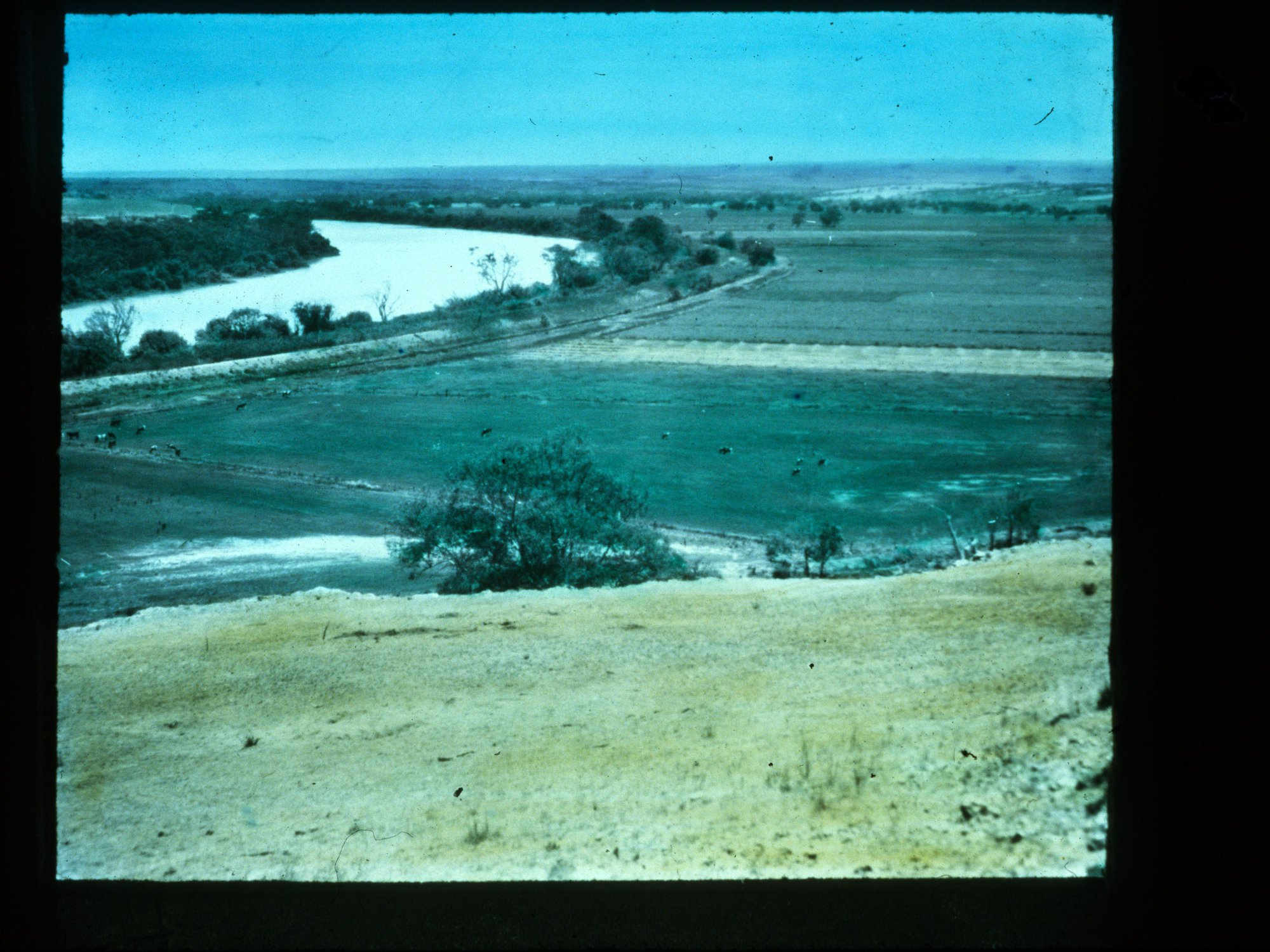 River Murray Showing Grazing Paddocks