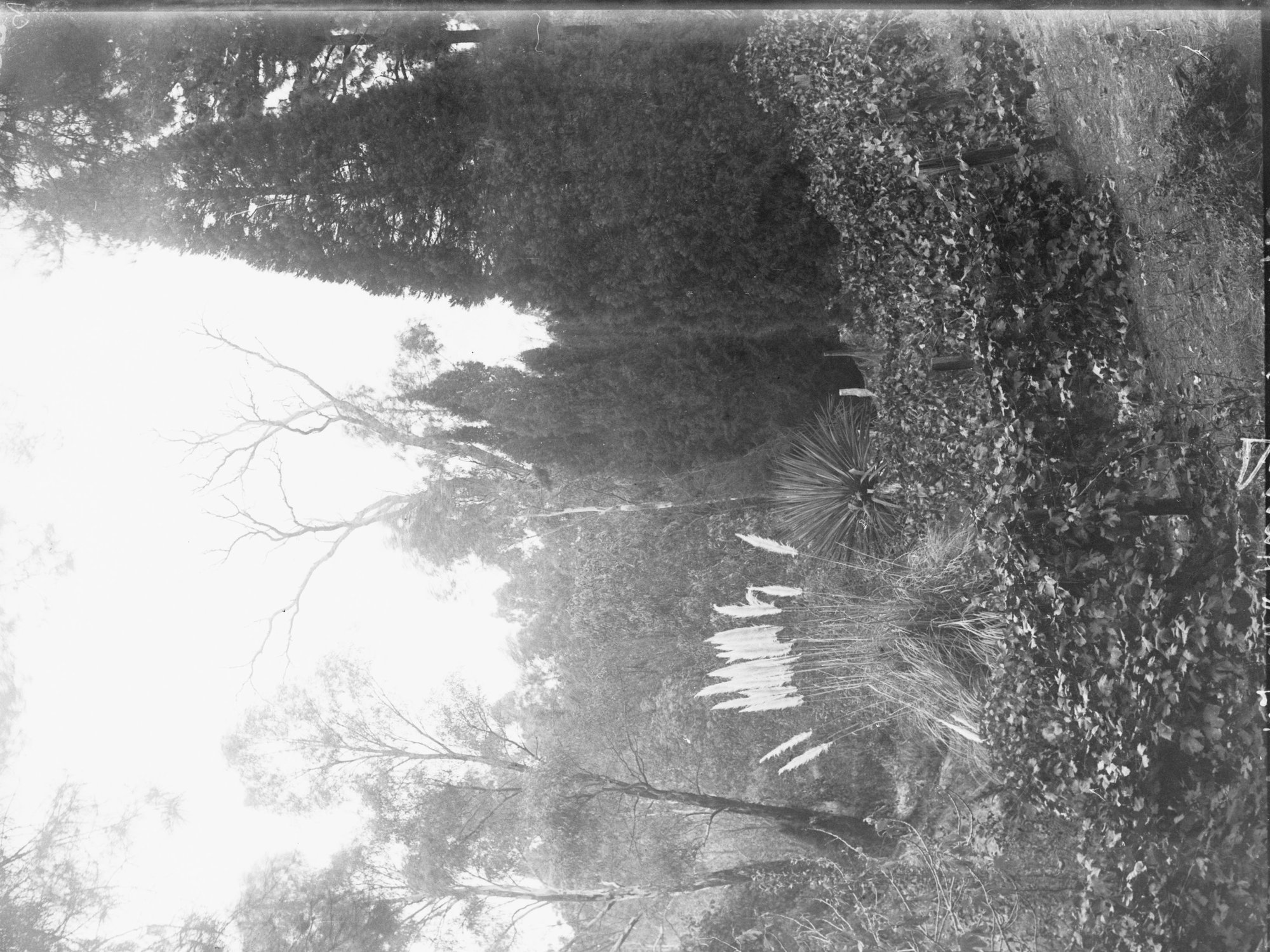 Scene of hills and bushland,  location unknown possibly Adelaide Hills, Mt Lofty Ranges