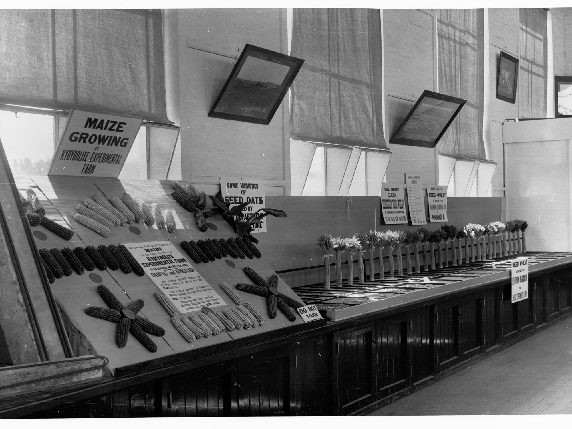 Agricultural Hall, Royal Adelaide Show