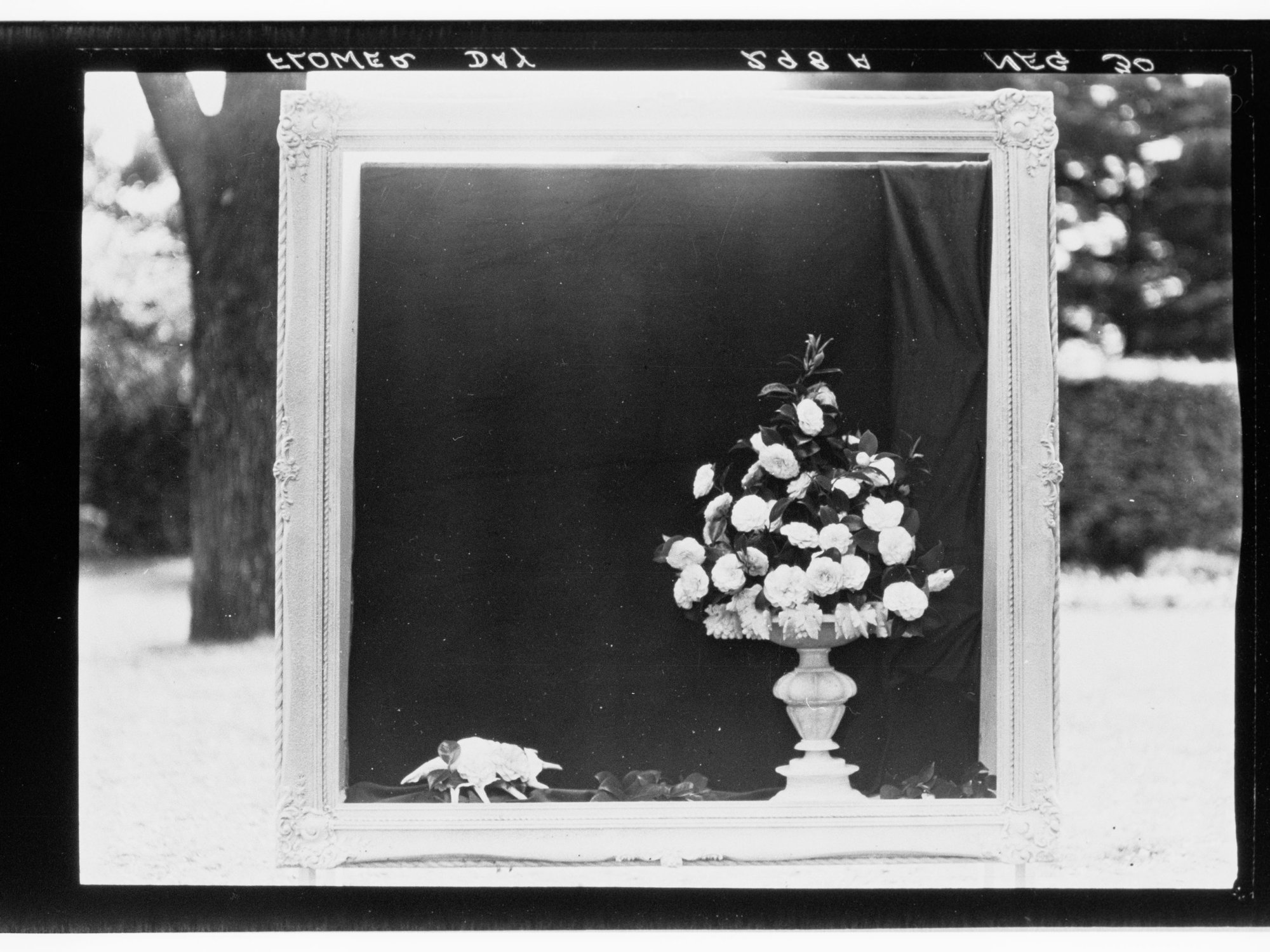 Flower Day - exhibit of vase and flowers surrounded by picture frame