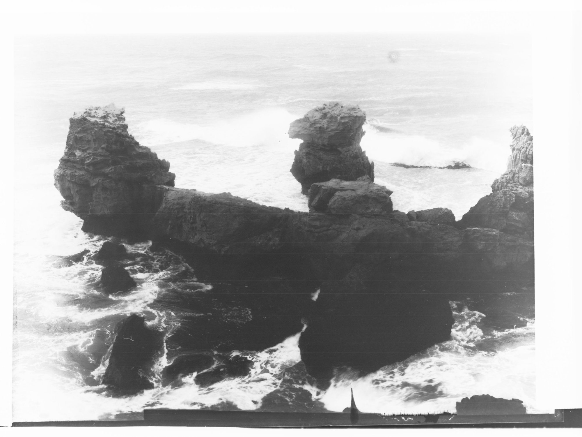 Bird Island McDonnell Bay