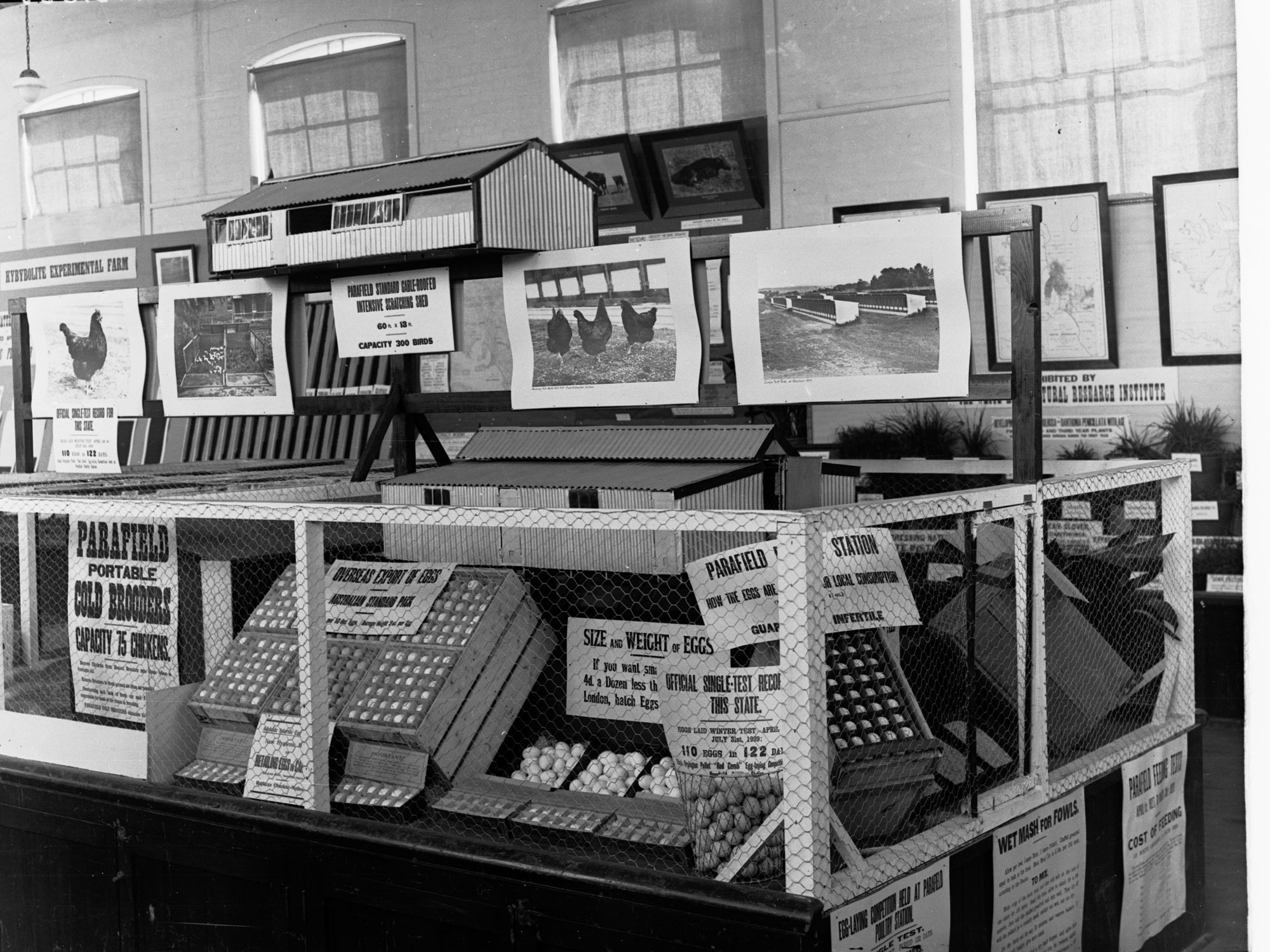 Poultry Exhibit Agricultural Hall Royal Adelaide Show