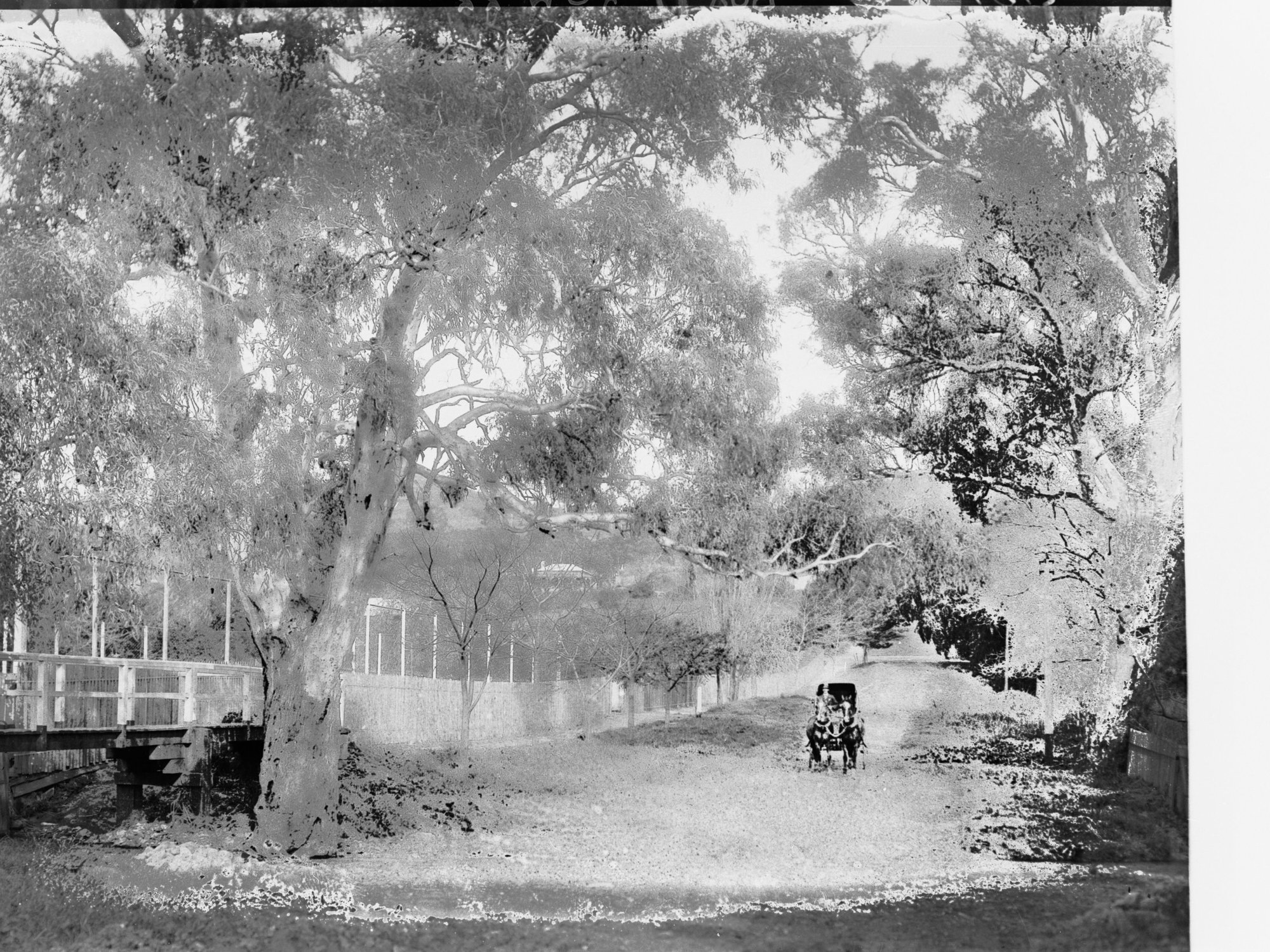 Mitcham Gardens - showing horse and buggy