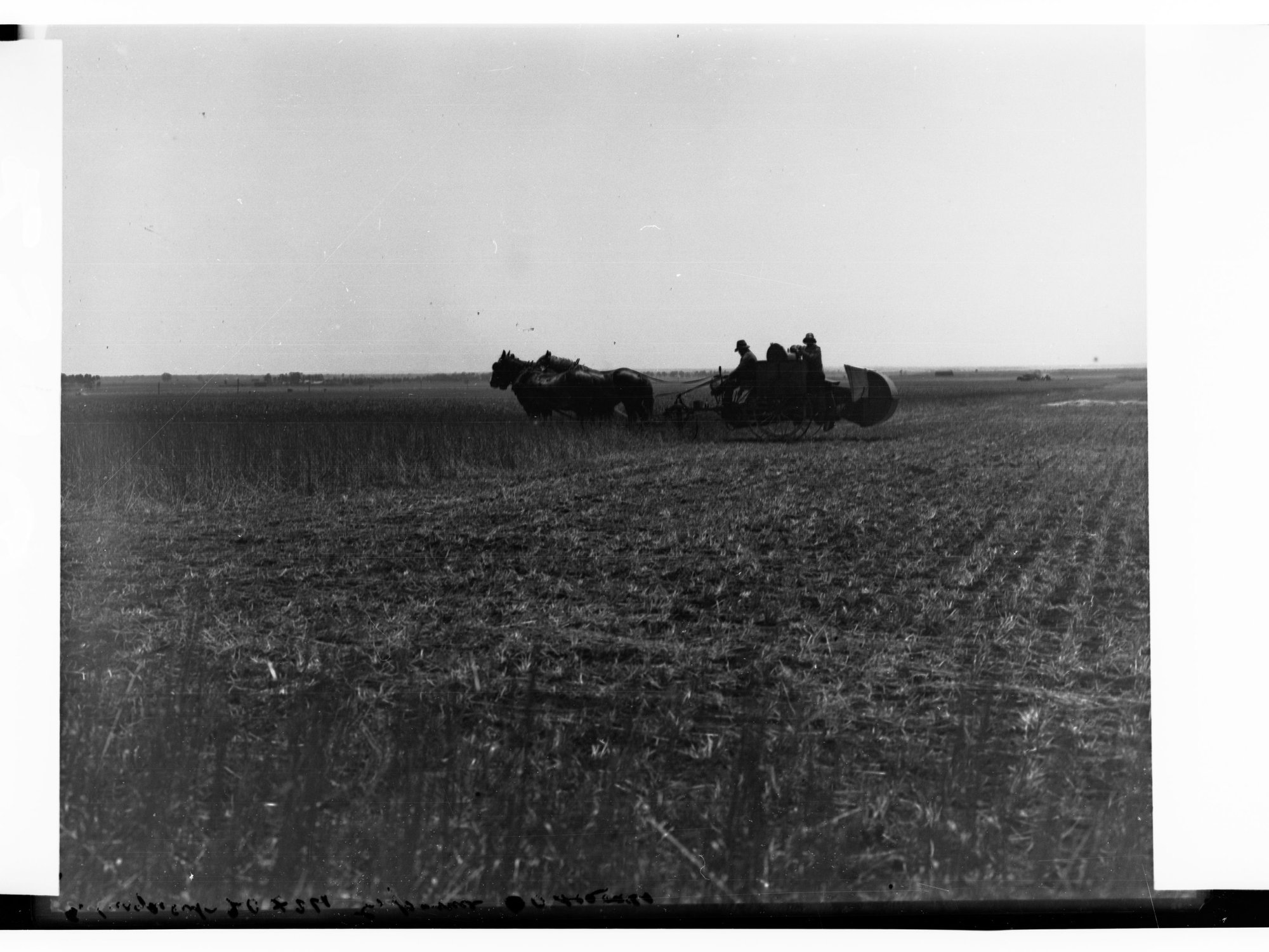 Farmer Harvesting at Smithfield Near Gawler