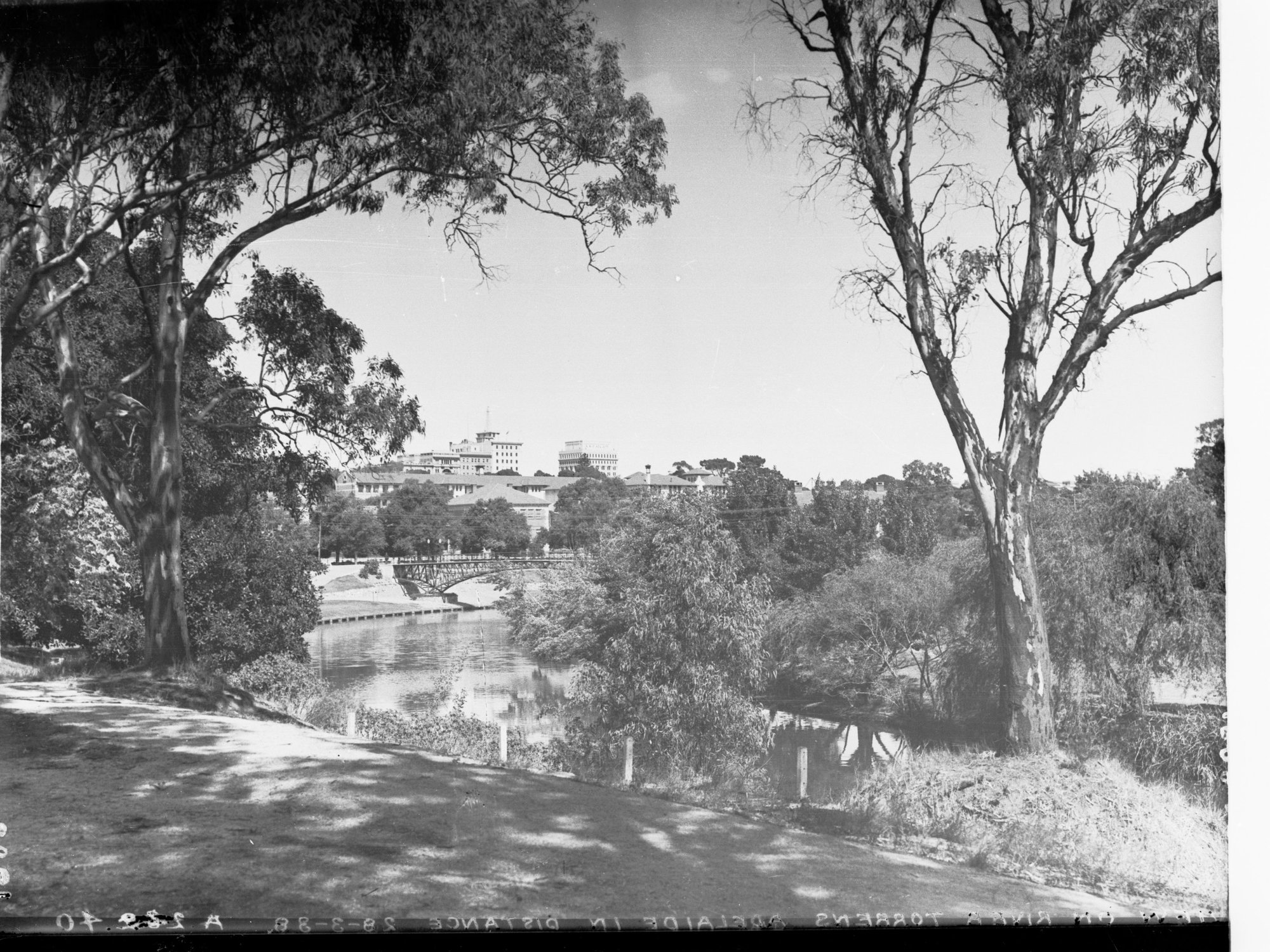 View of River Torrens Adelaide in Distance