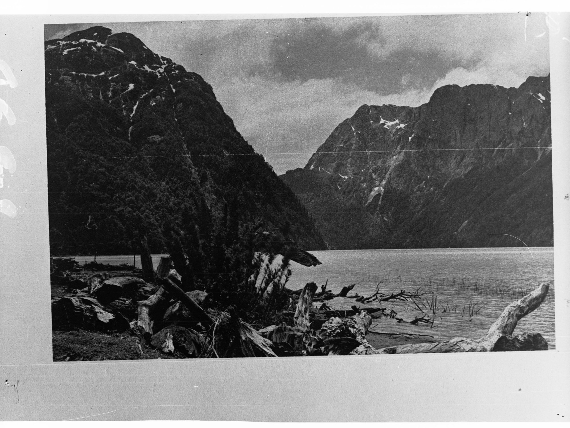 Rocky Mountians Showing Scrub and Trees and Bushes