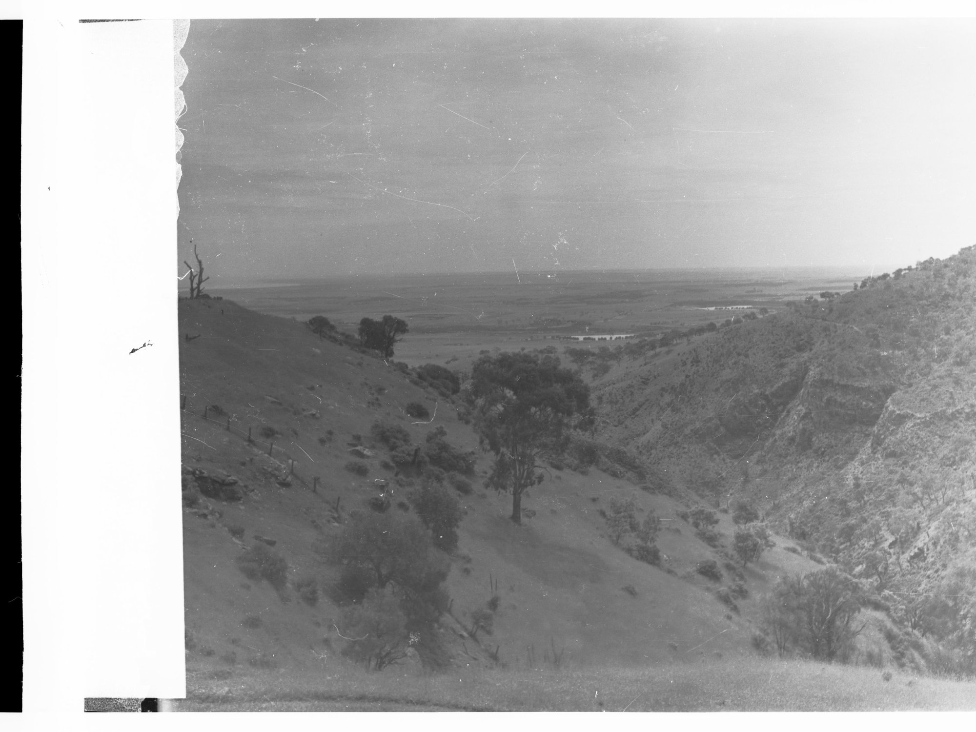 Orchards and Hills at Waterfall Gully