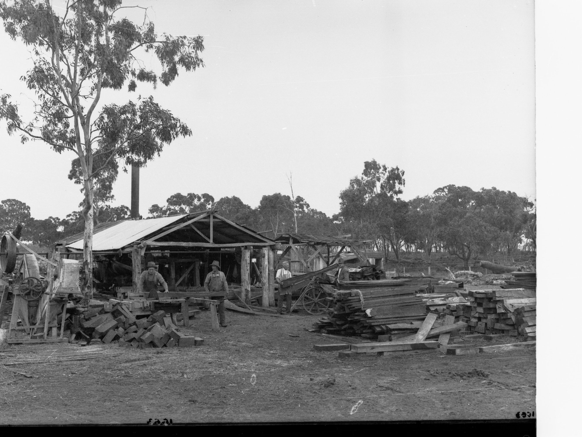 Neilsens Bush Near Penola