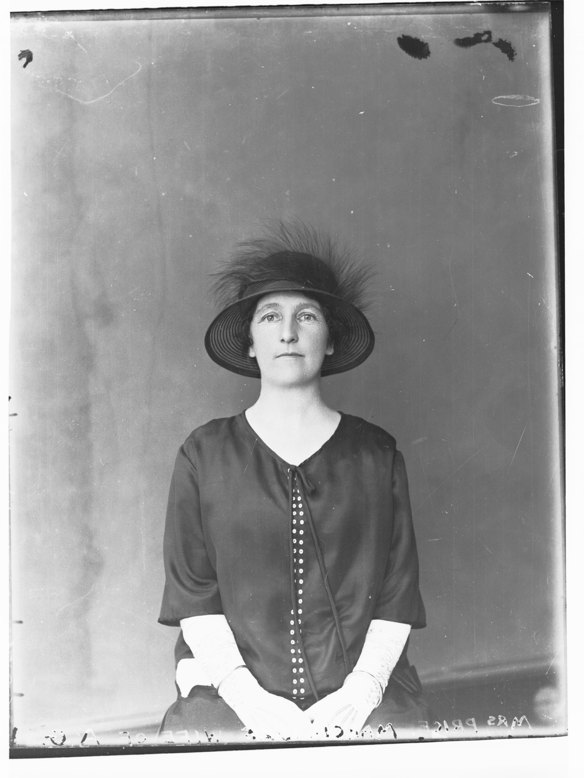 Portrait of Mrs Price