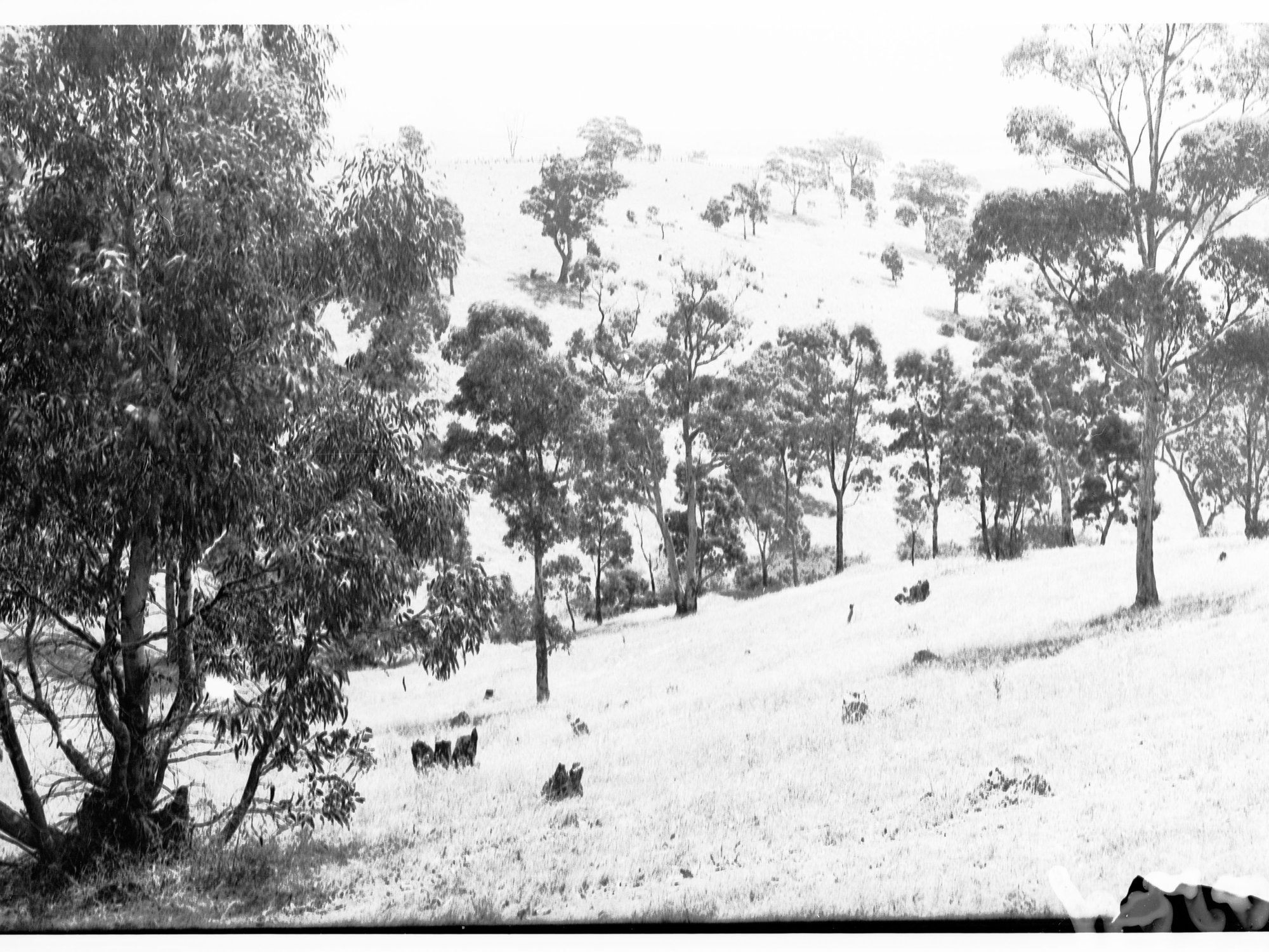 Rural view - area unknown