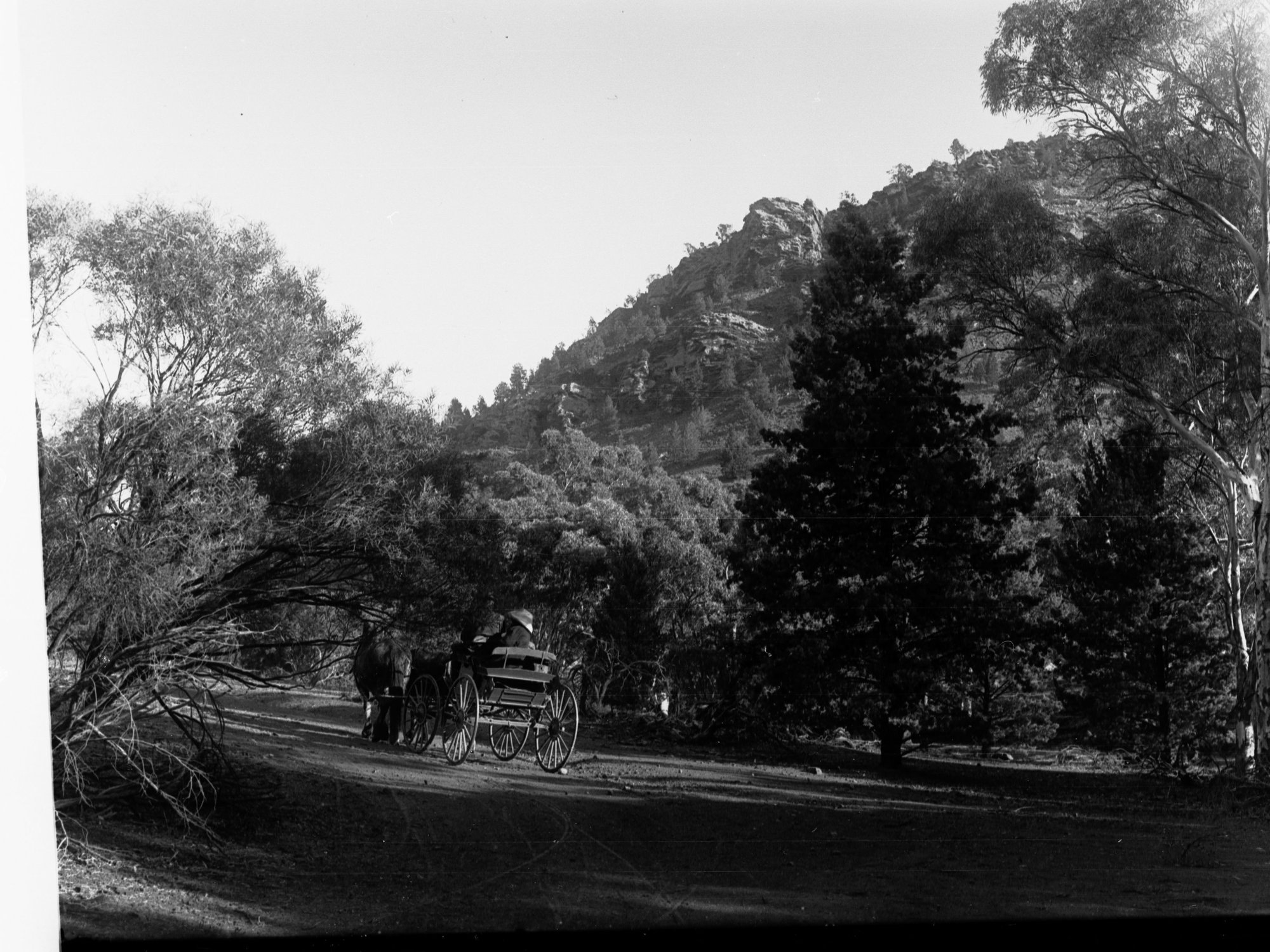 Owienagin Creek showing horse and cart