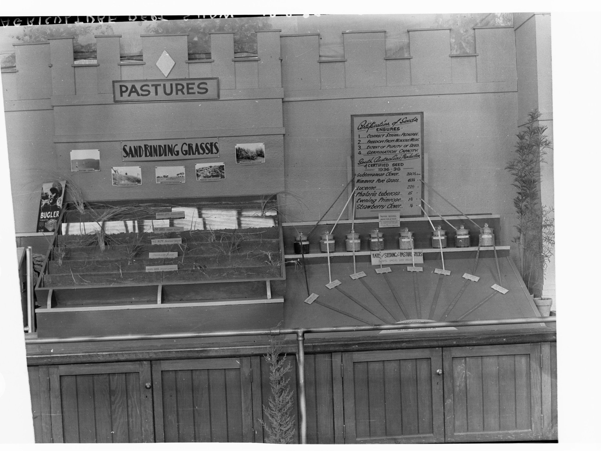 Agricultural Display showing sand binding grasses, Royal Adelaide Show