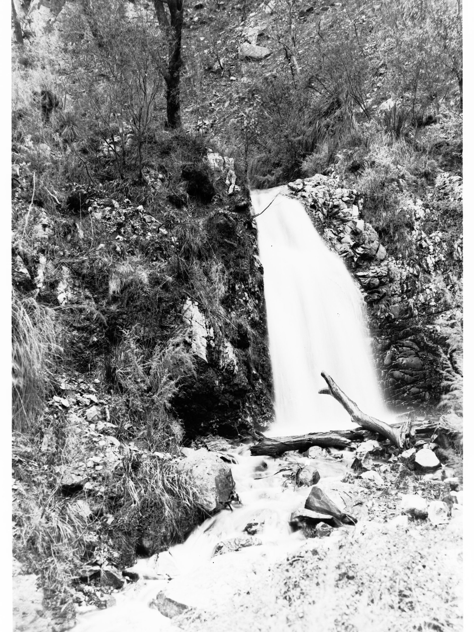 Waterfall Gully