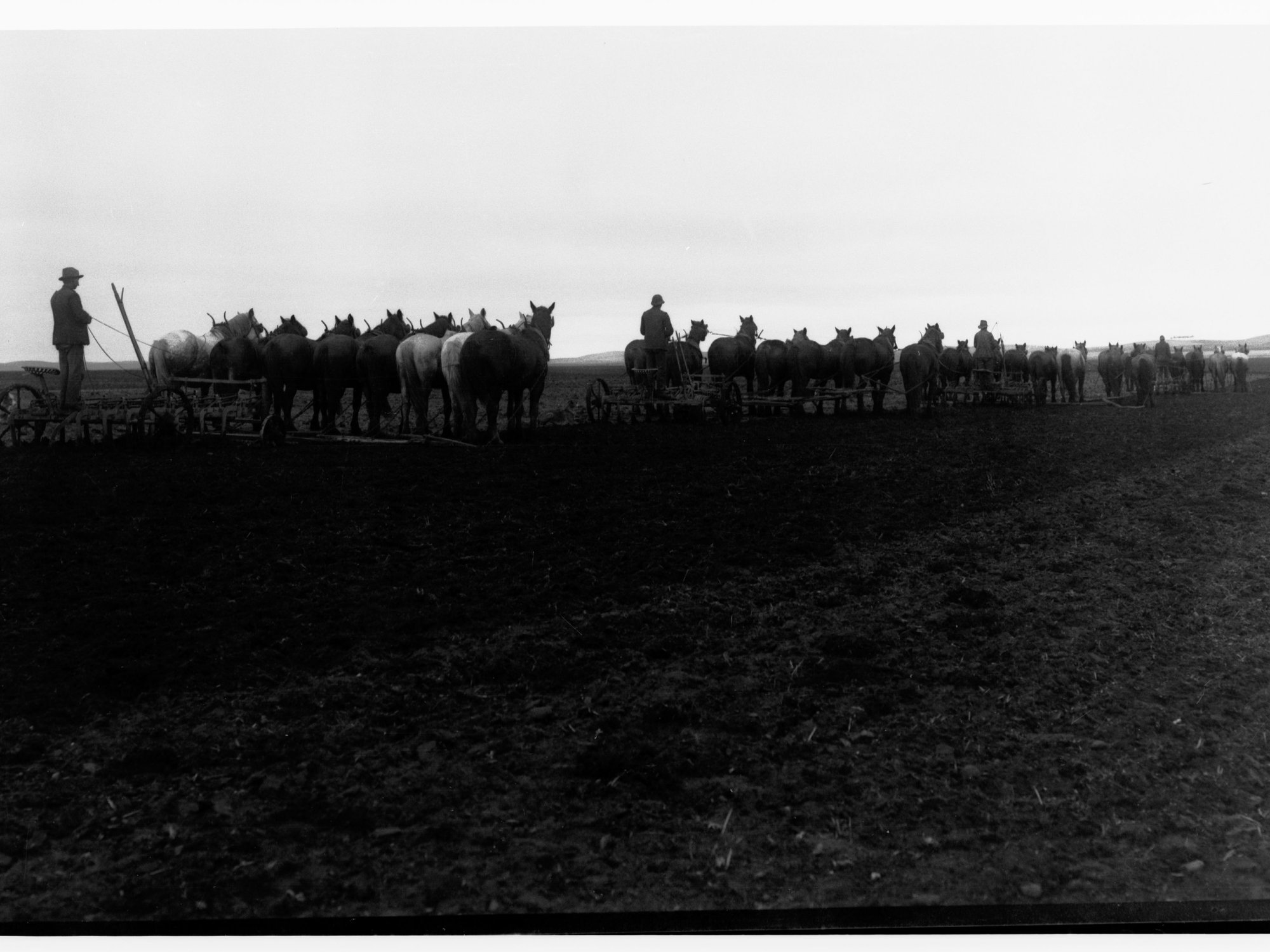 Horsedrawn machinery ploughing field