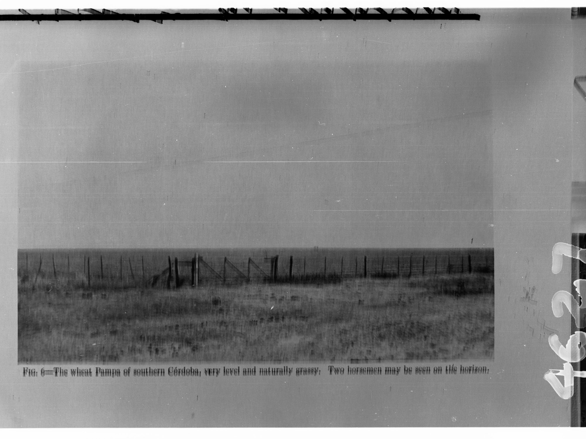 Wheat Pampa of Southern Cordoba