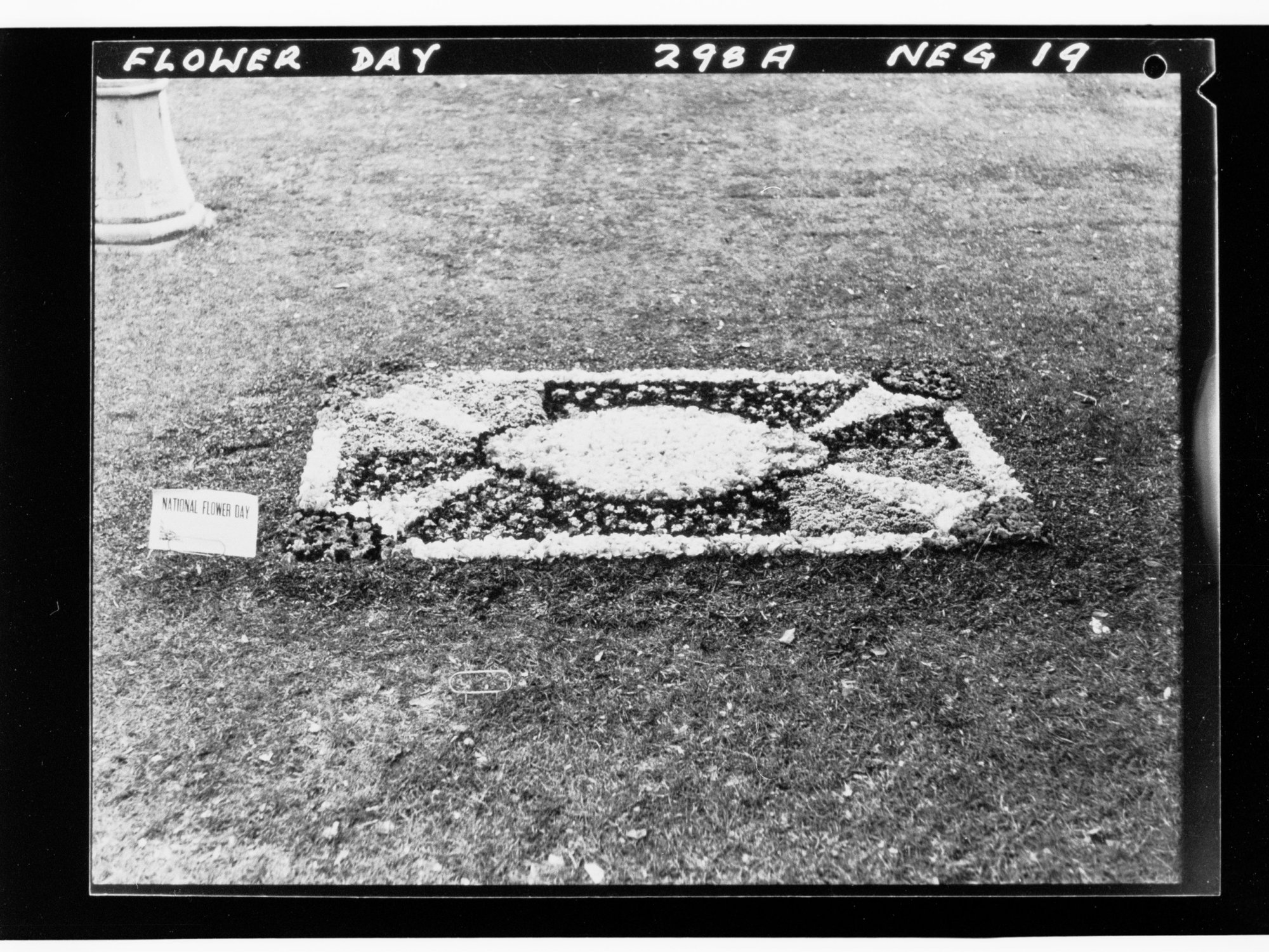 Flower Day - exhibit in ground