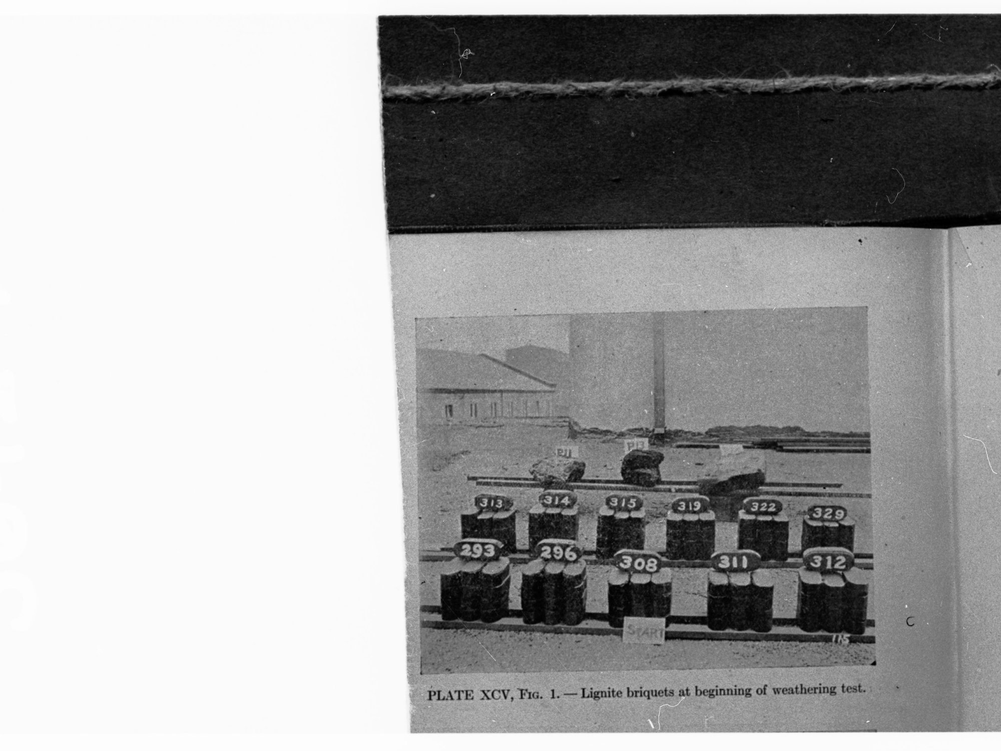 Lignite Briquets at beginning of weathering test