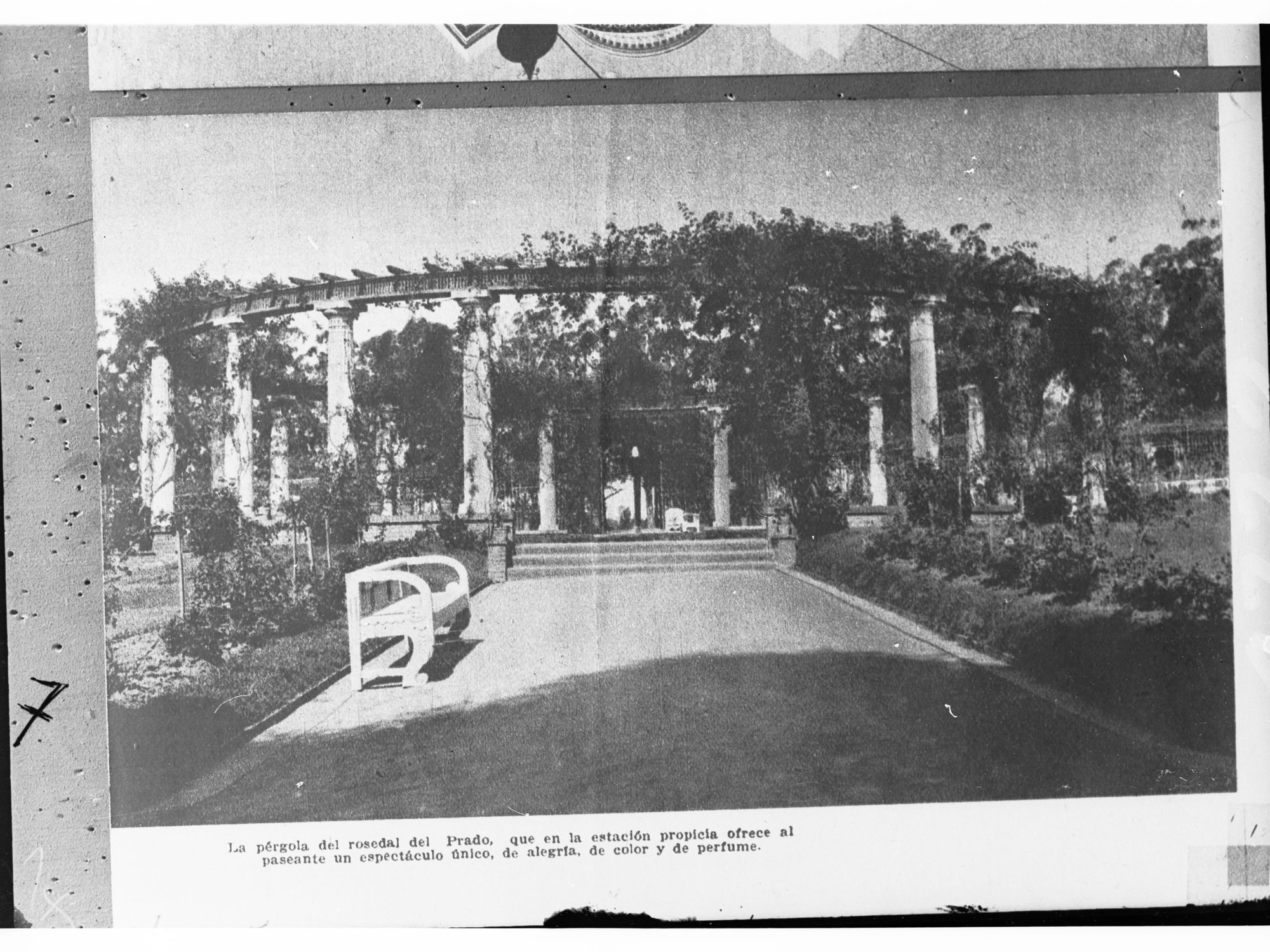 Building Covered by Ivy and Surrounding Garden