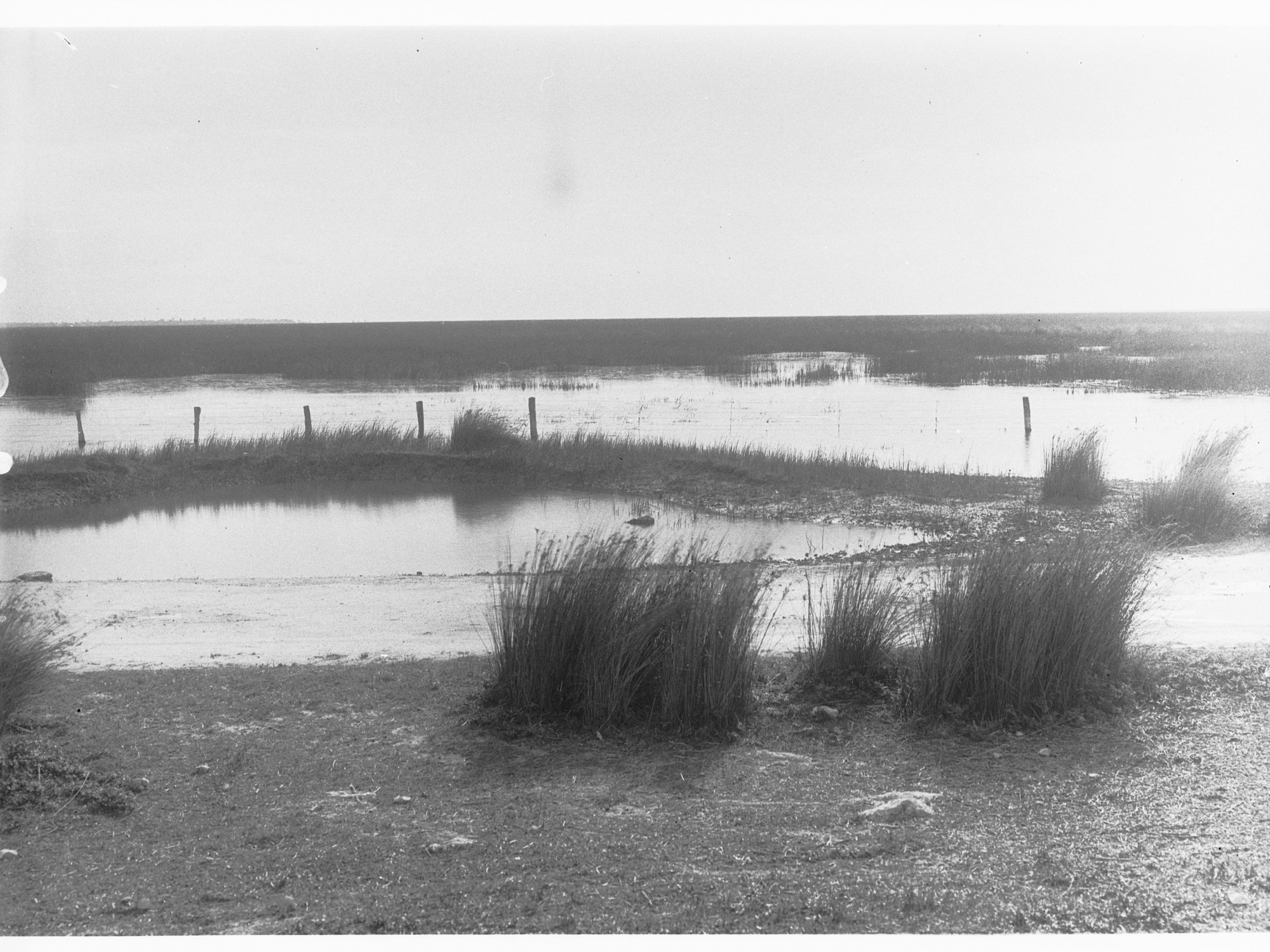 South Eastern Drainage