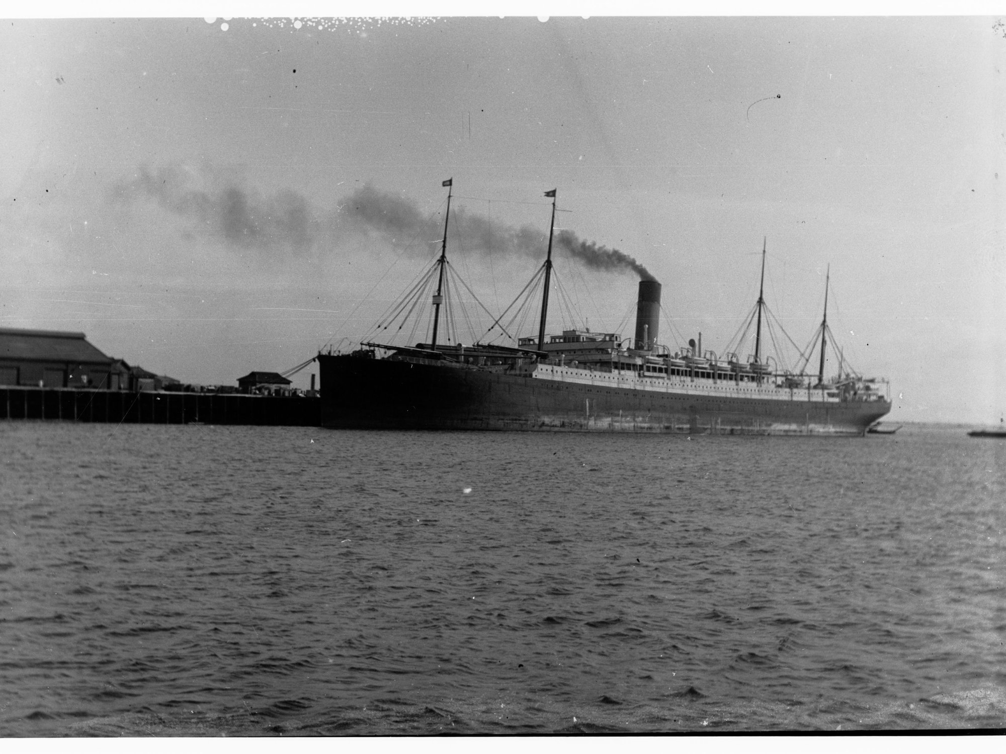 Steamship - The Ceramic