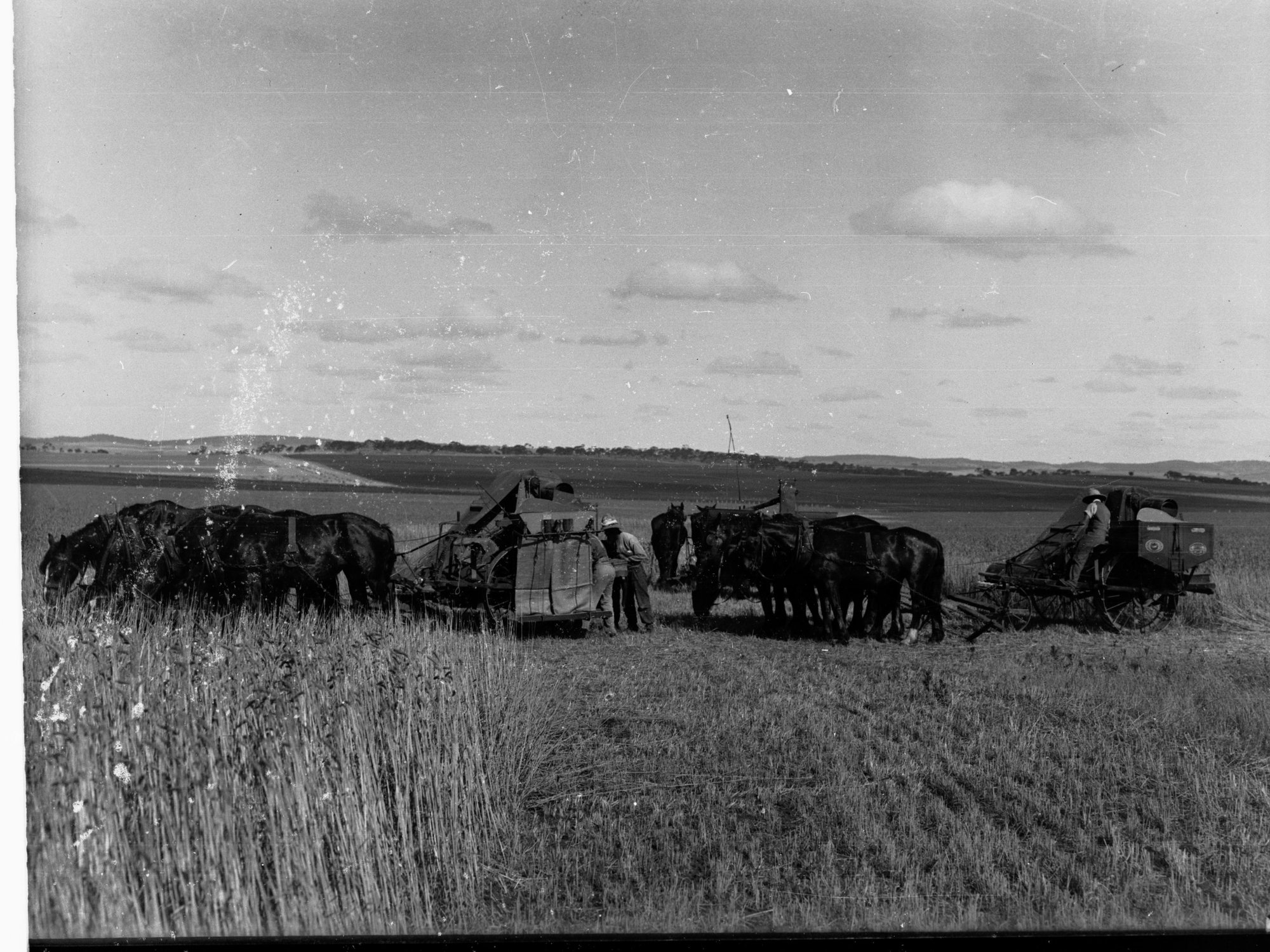 Group of Harvesters at Saddleworth