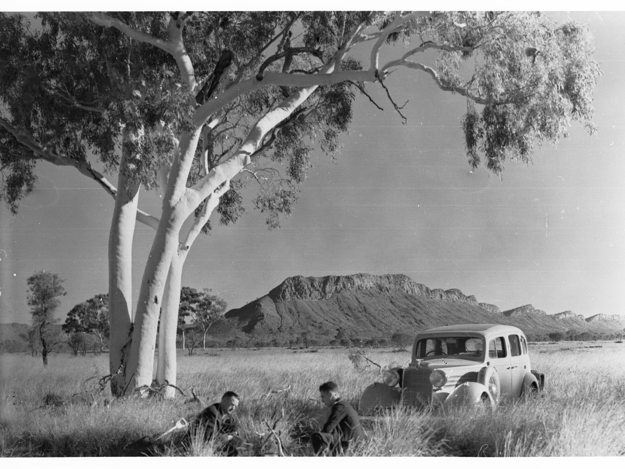MacDonnell Ranges Camp Fire 