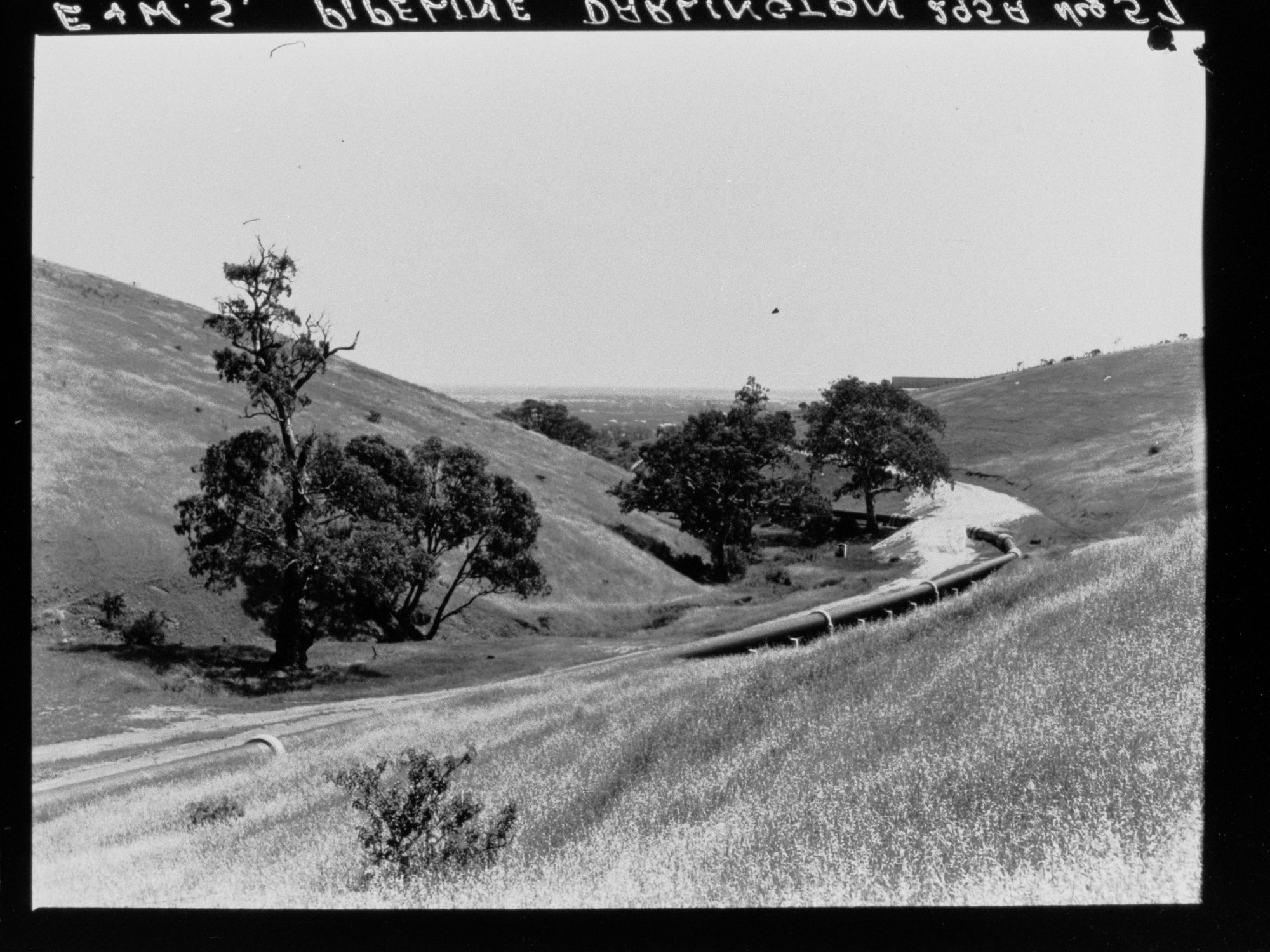 E&amp;WS Pipeline, Darlington