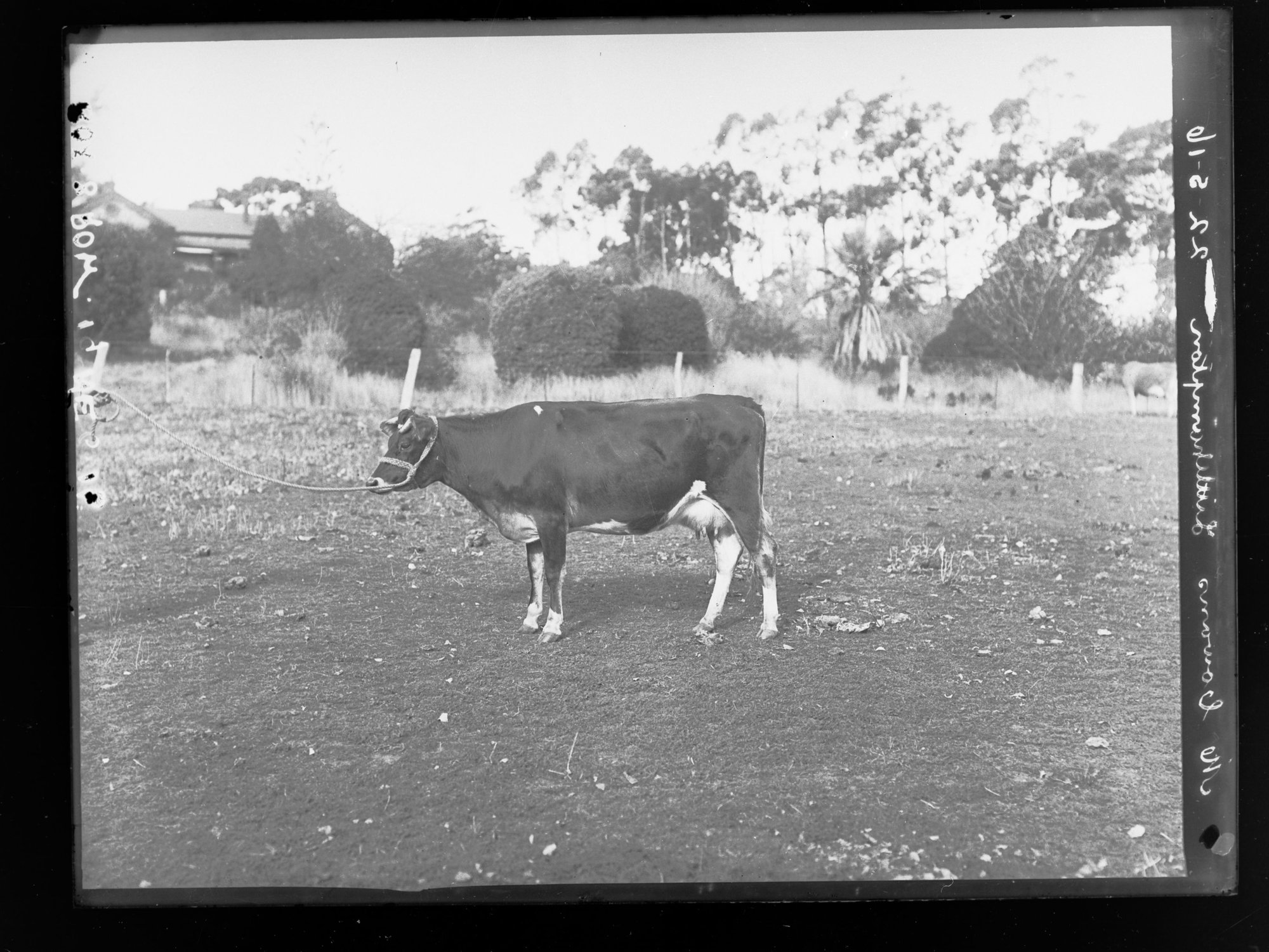 Mr Cowan's property at Littlehampton 