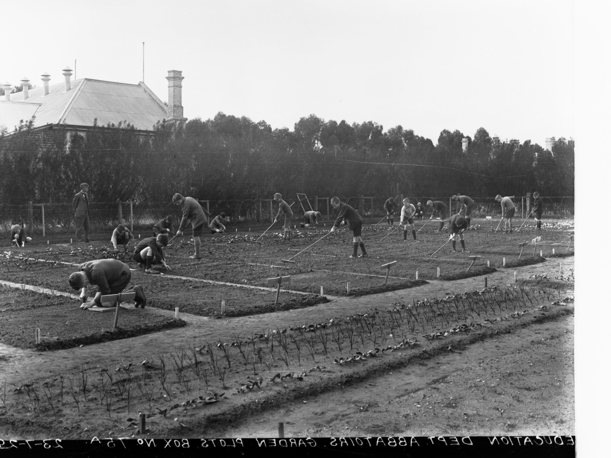 Education Department - Abattoirs Garden Plots