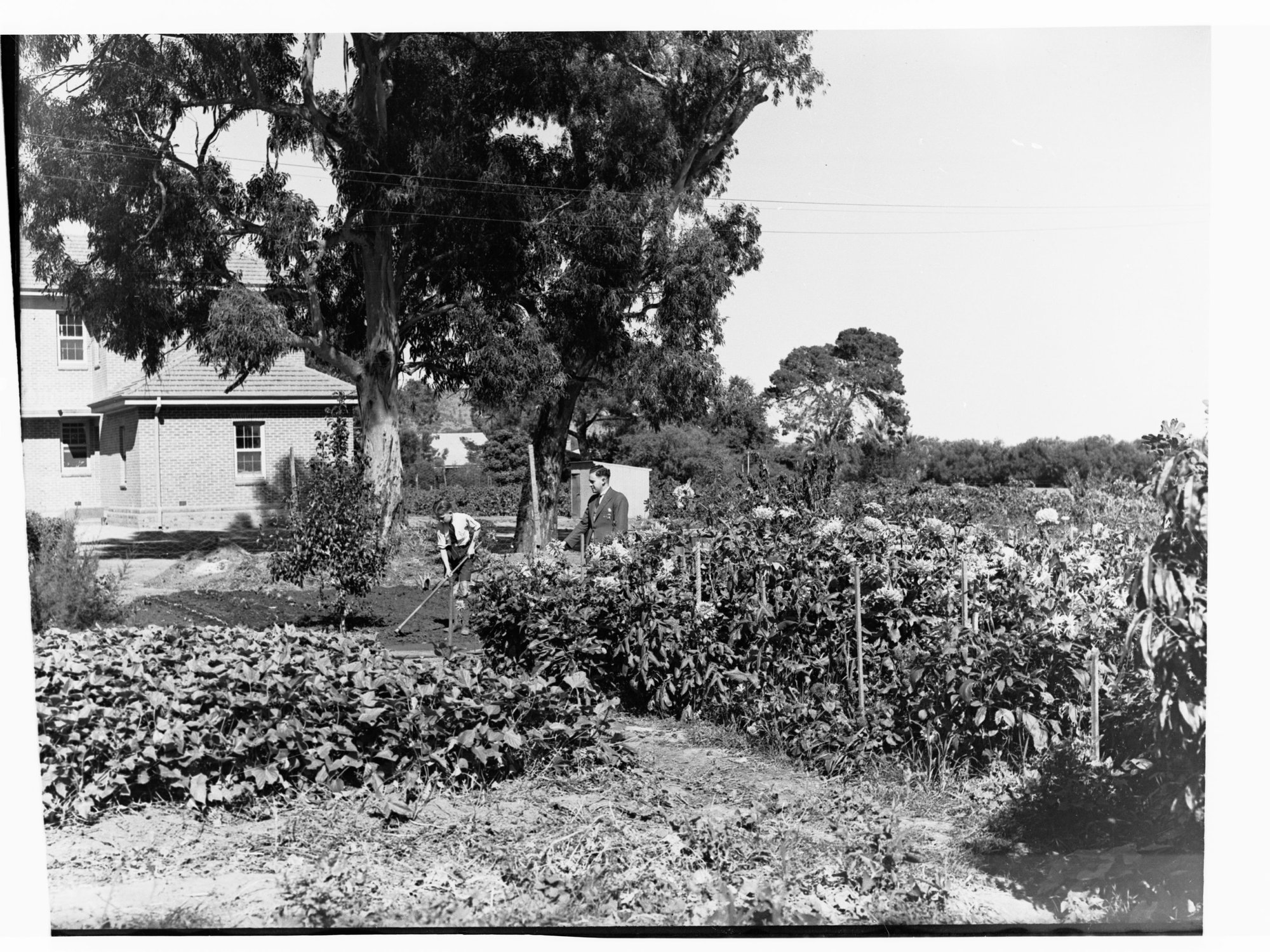 Urrbrae Agricultural College 