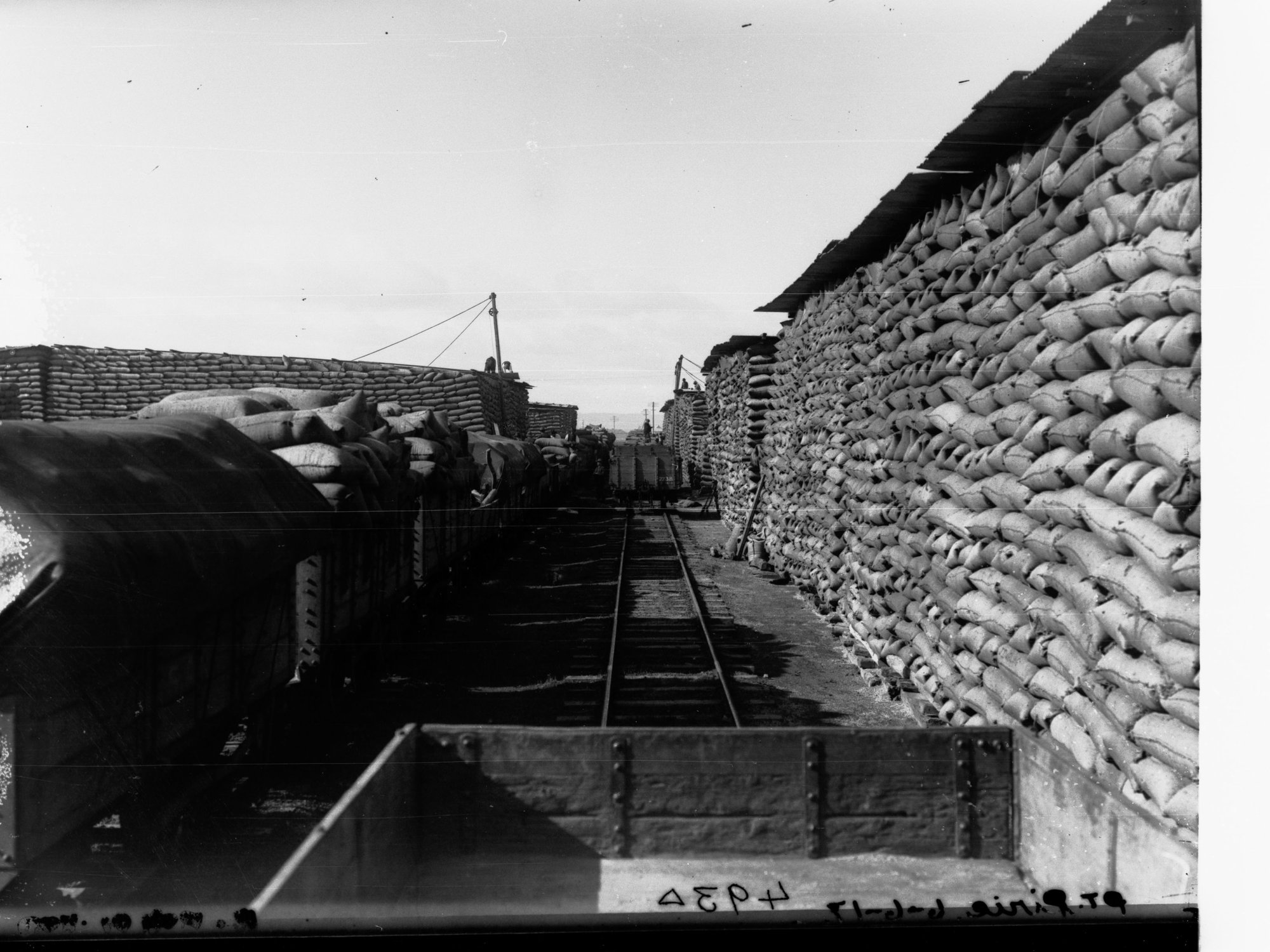 Wheat Stacks at Port Pirie