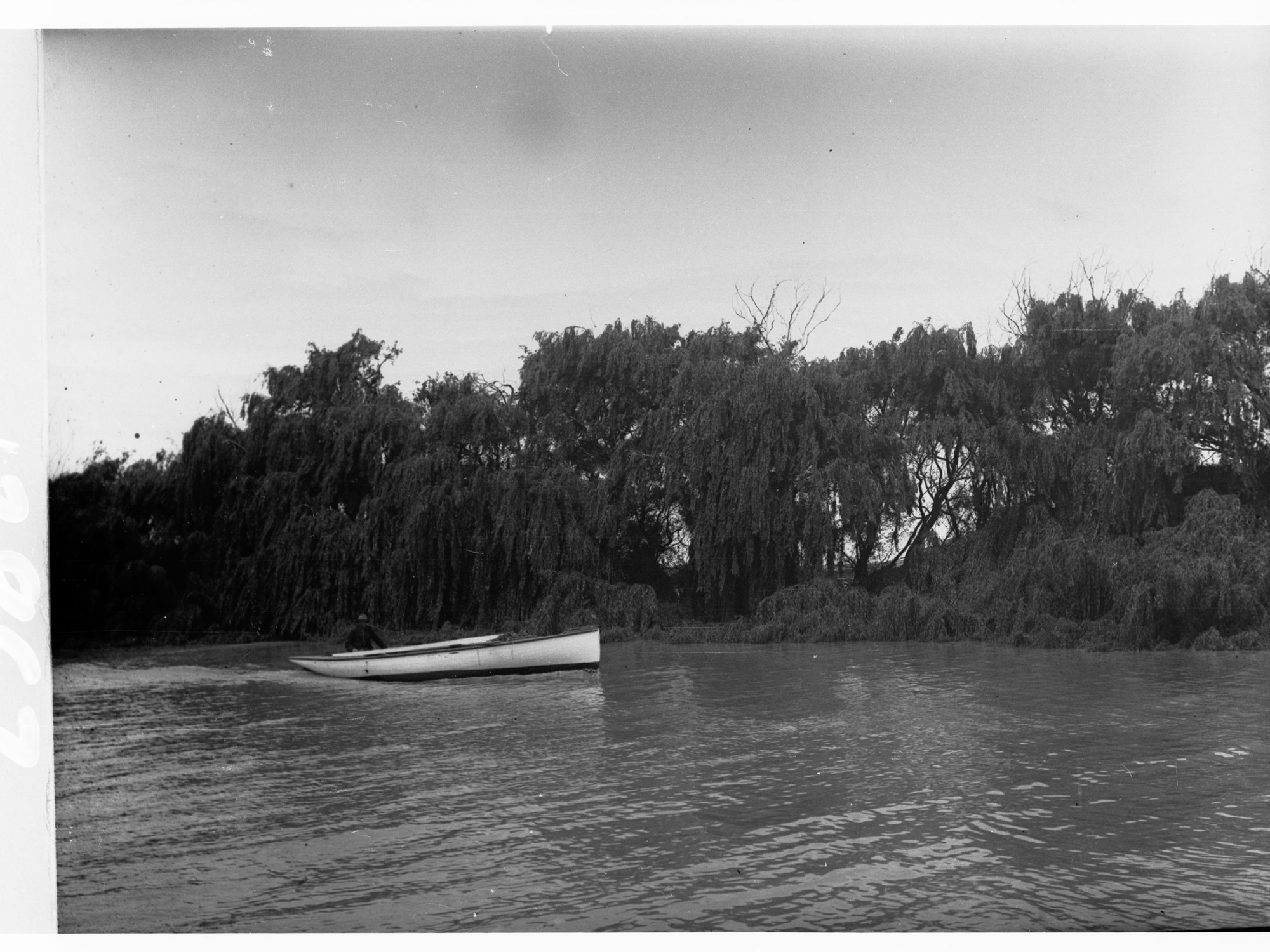 Row boat on River Murray - Parliamentary Tour on River Murray