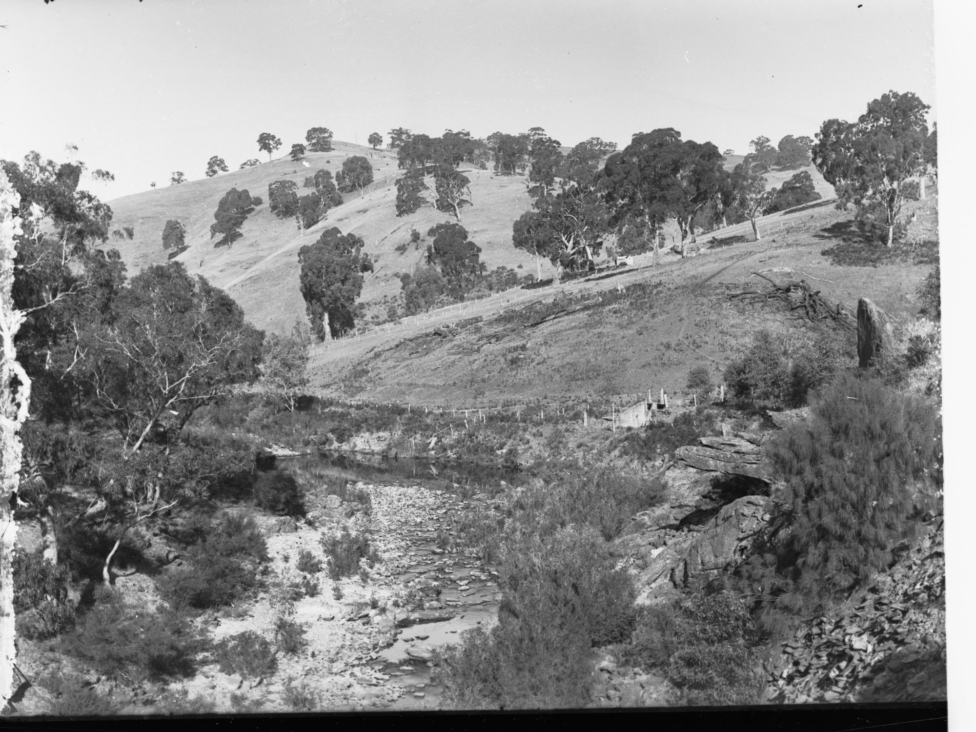 Torrens Gorge Road