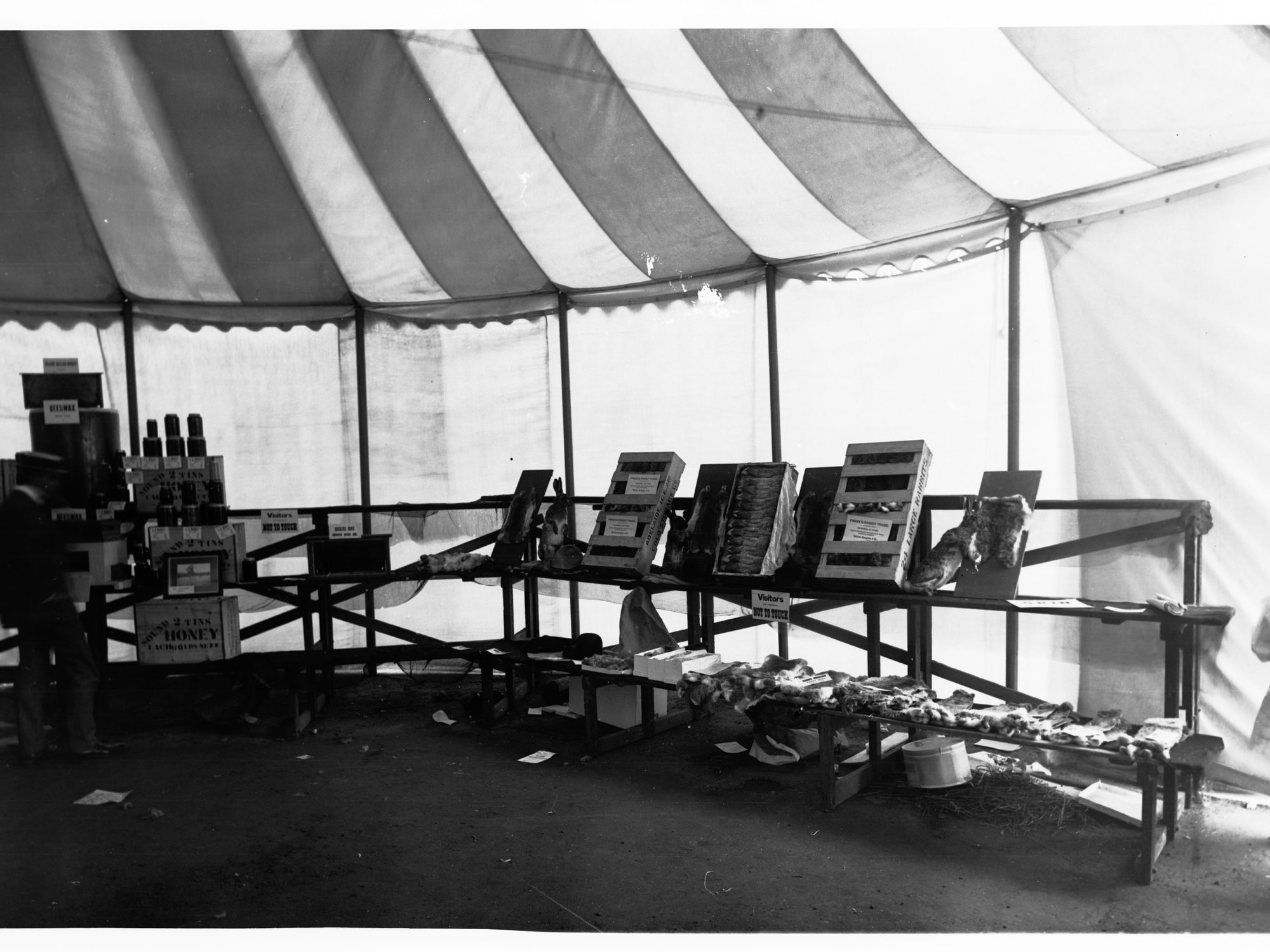 Rabbit Fur Exhibition