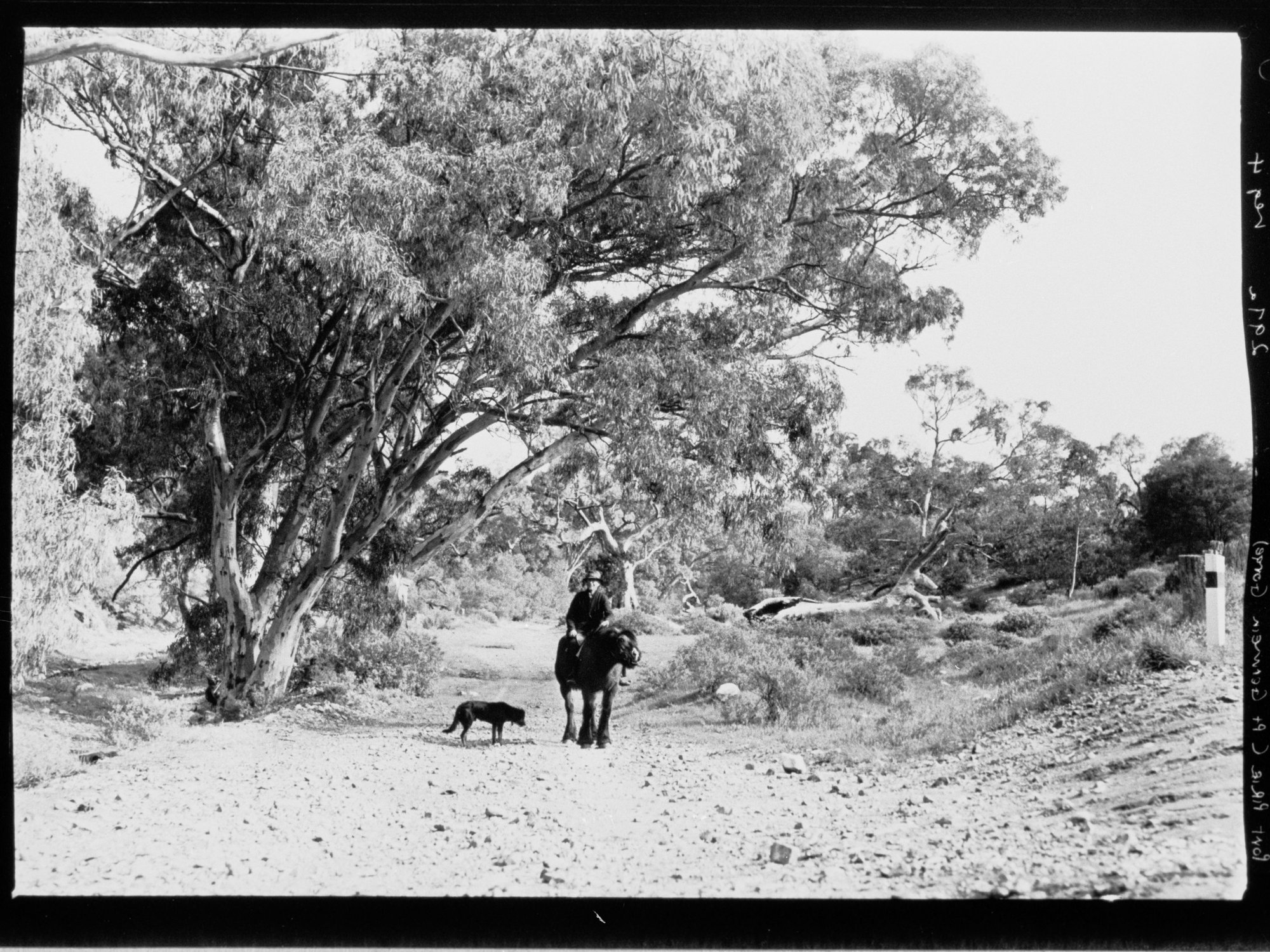 Port Pirie - Port Germein gorge, man riding horse