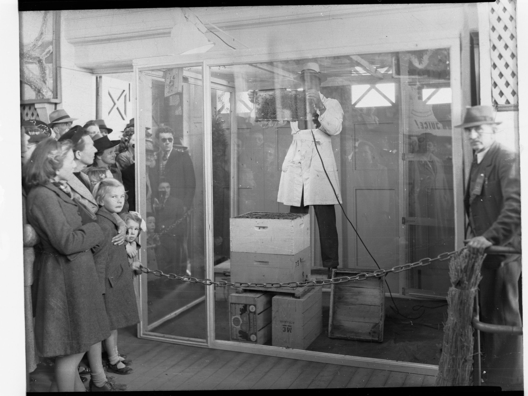 Agricultural Hall - The Royal Adelaide Exhibition - Bee-Keeping Display