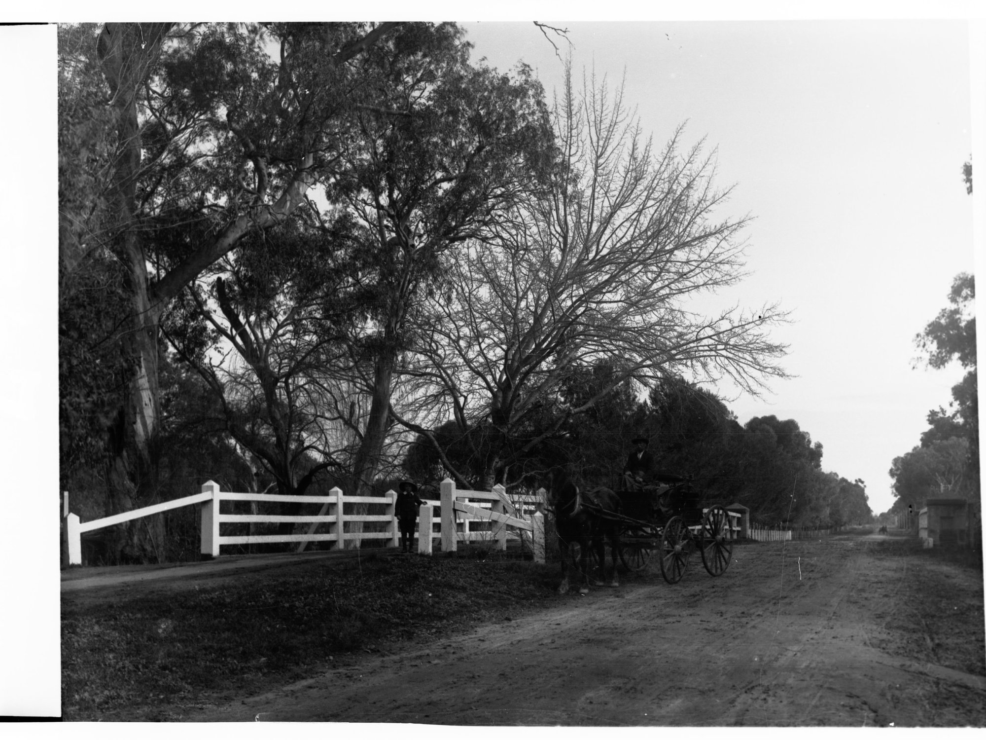 Henley Beach Road Bridge Over River Torrens