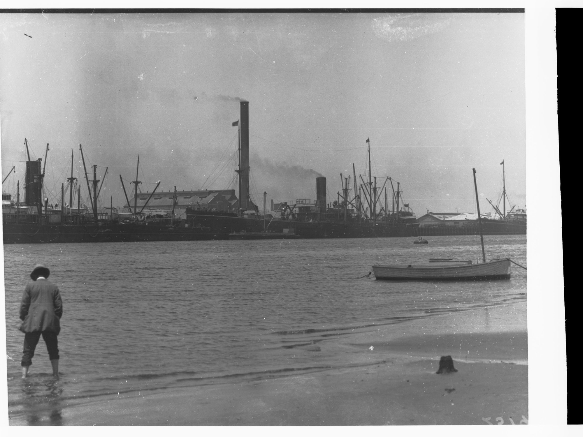 Produce depot, Port Adelaide, exporting frozen carcass