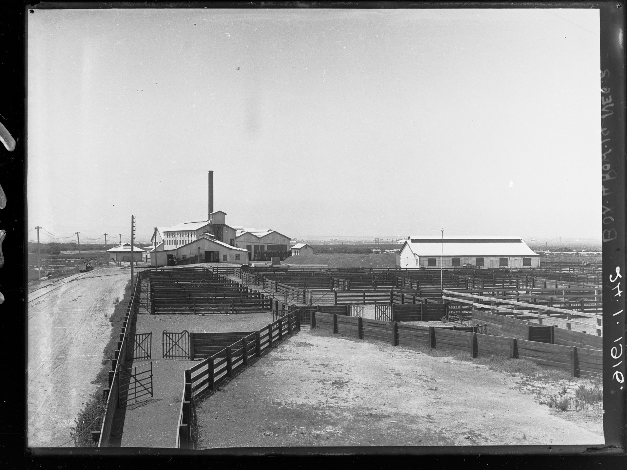 Government Produce Export Depot, Port Adelaide
