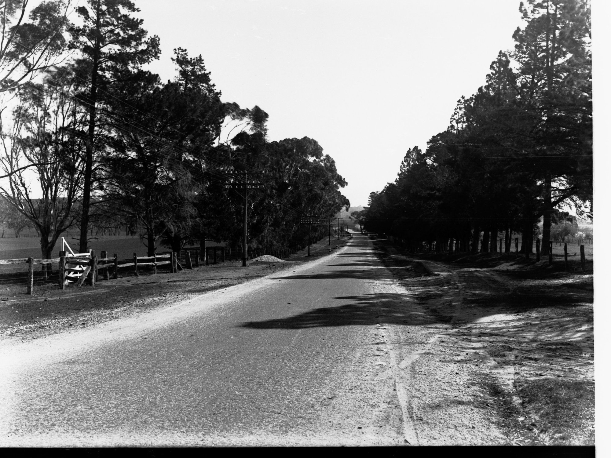 Road Near Strathalbyn