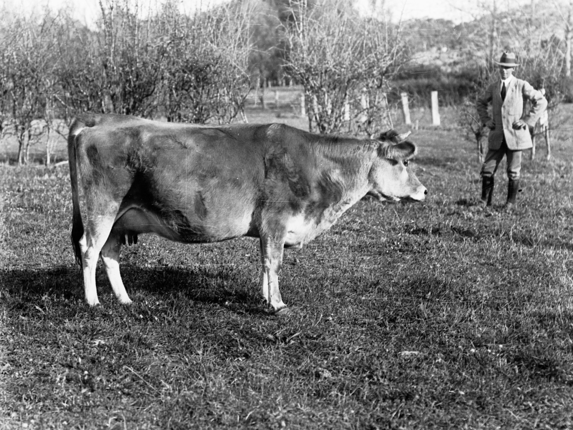 Mr Cowan's property at Littlehampton 