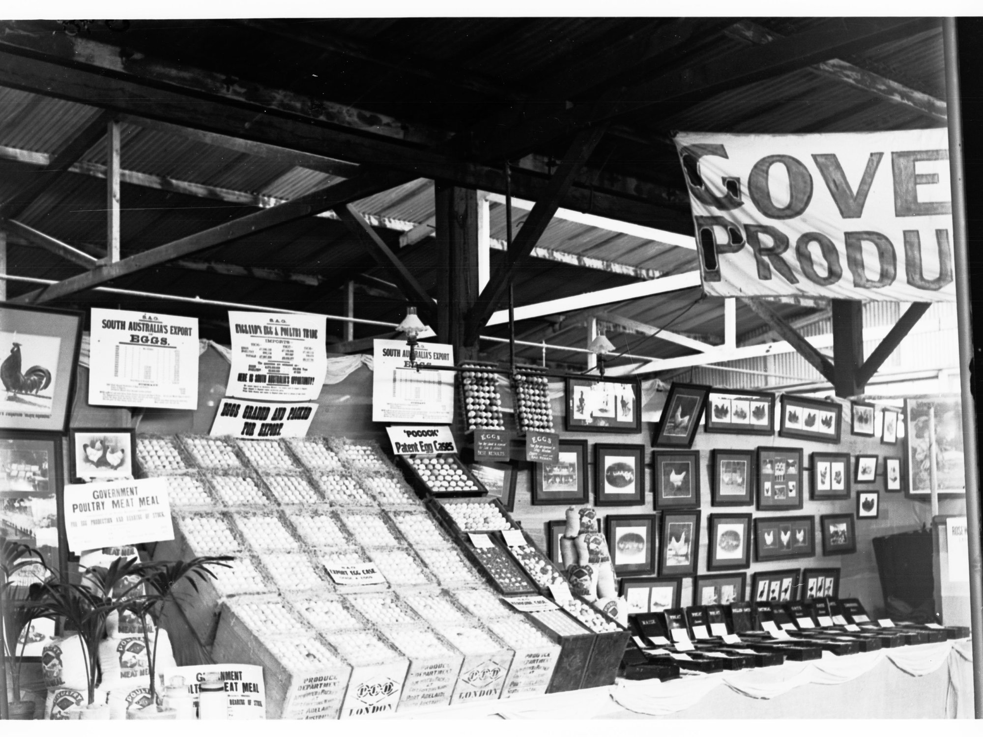 Government Export Produce Depot Exhibit Showing Eggs and Pictures of Fowls